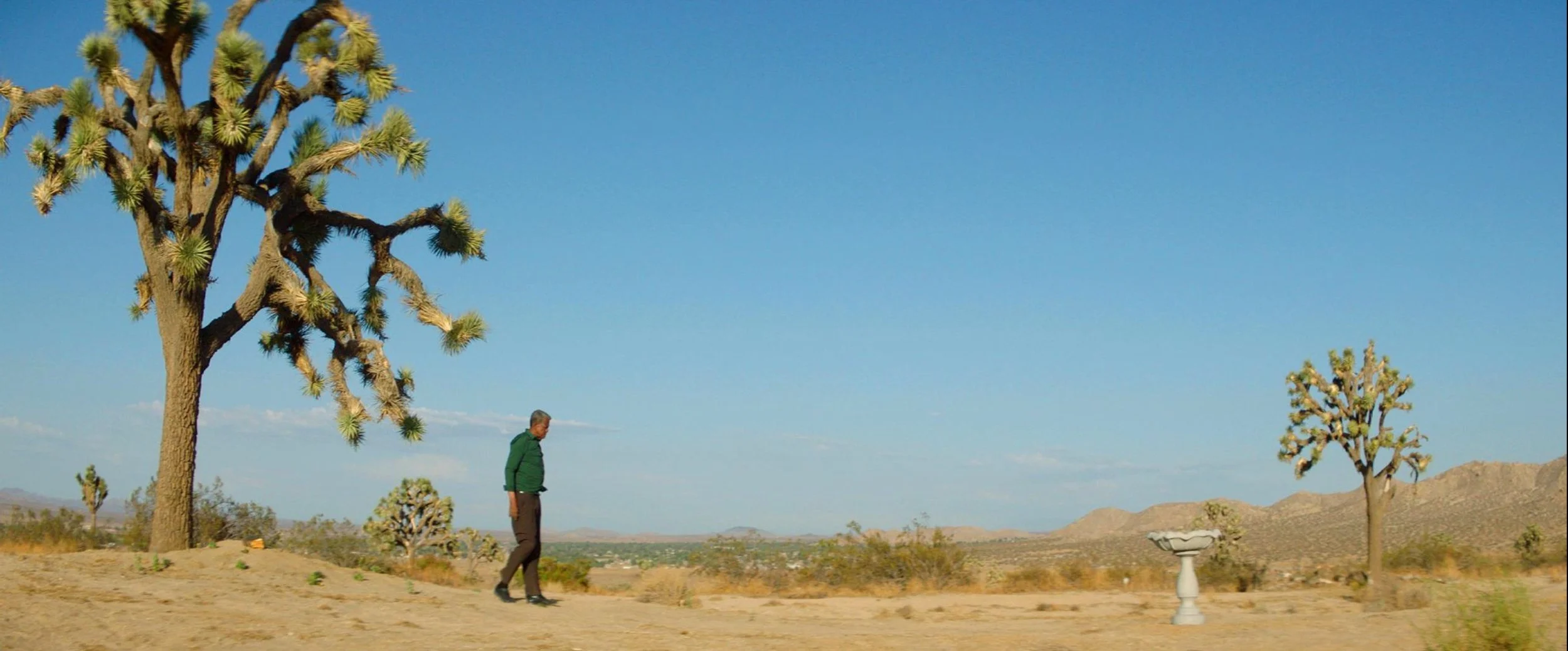 Screen Shot 2021-08-12 at 2.43.26 PM.JPEG