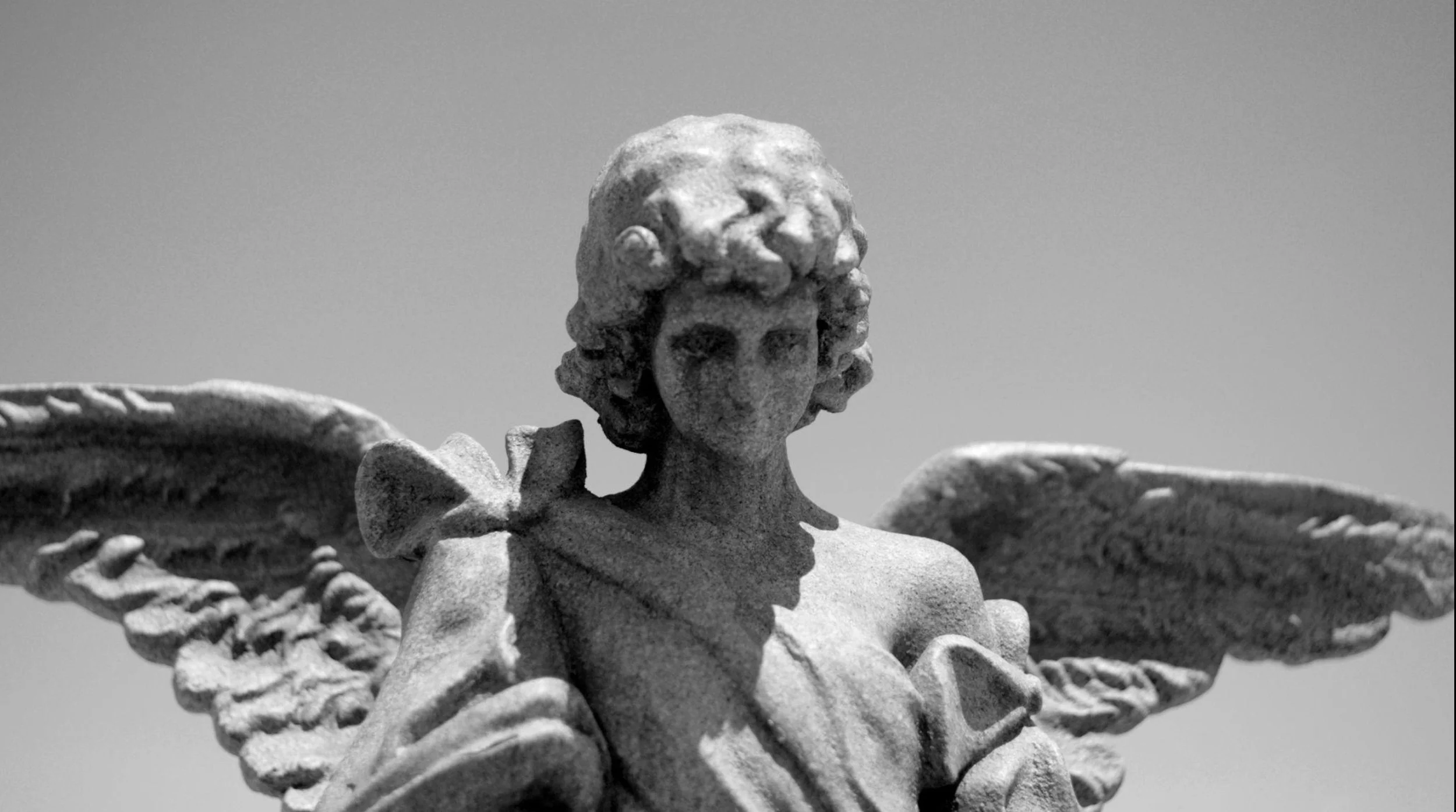 Screen Shot 2021-08-12 at 2.44.12 PM.JPEG