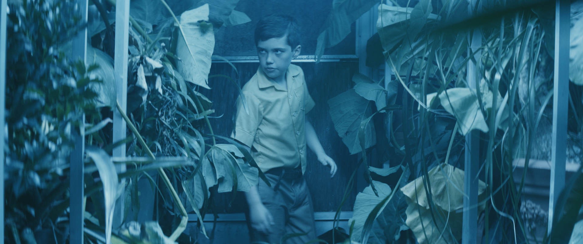 TIHIS Still_1.207.PNG