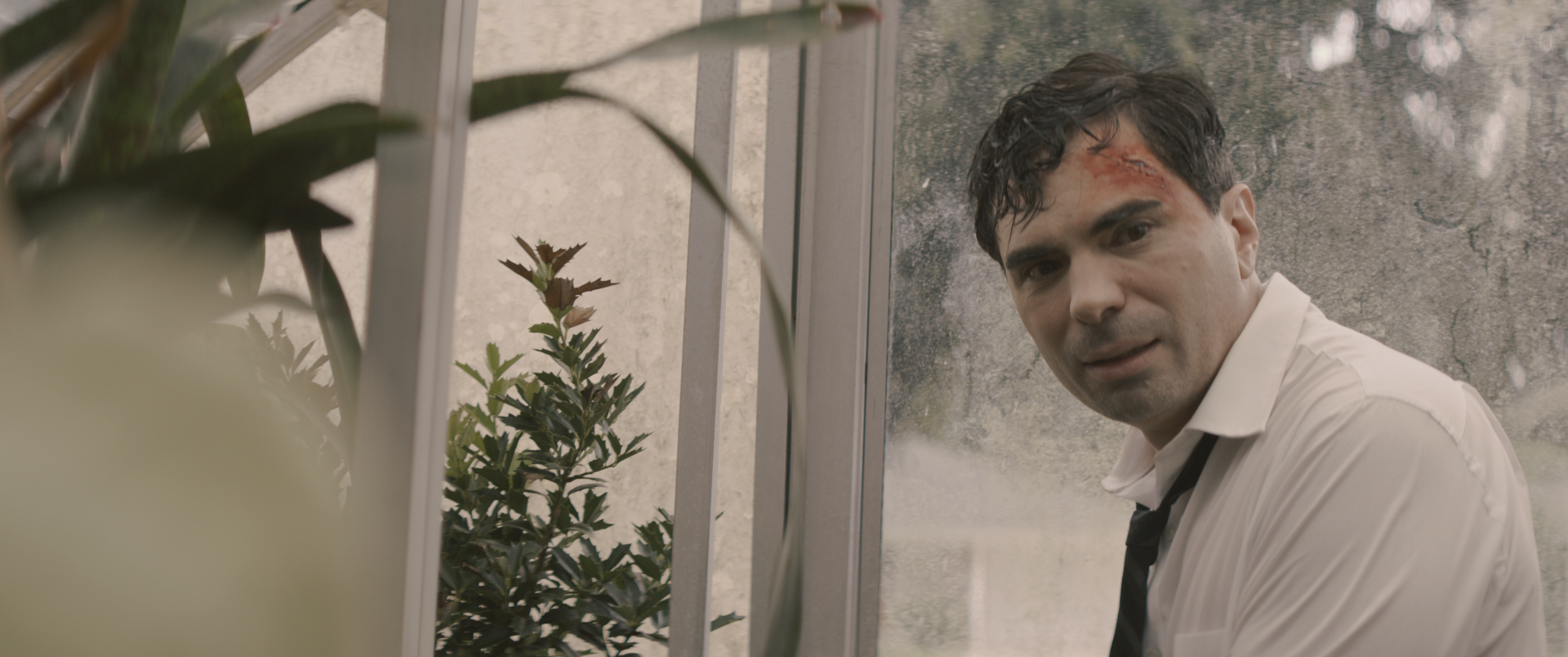 TIHIS Still_1.644.PNG