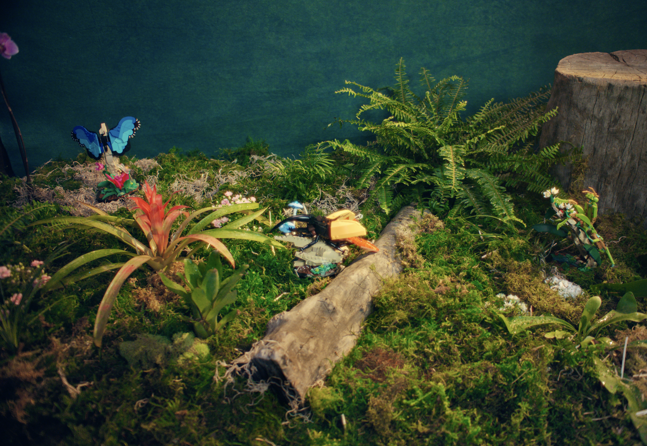 Screen Shot 2023-09-13 at 3.57.47 PM.png