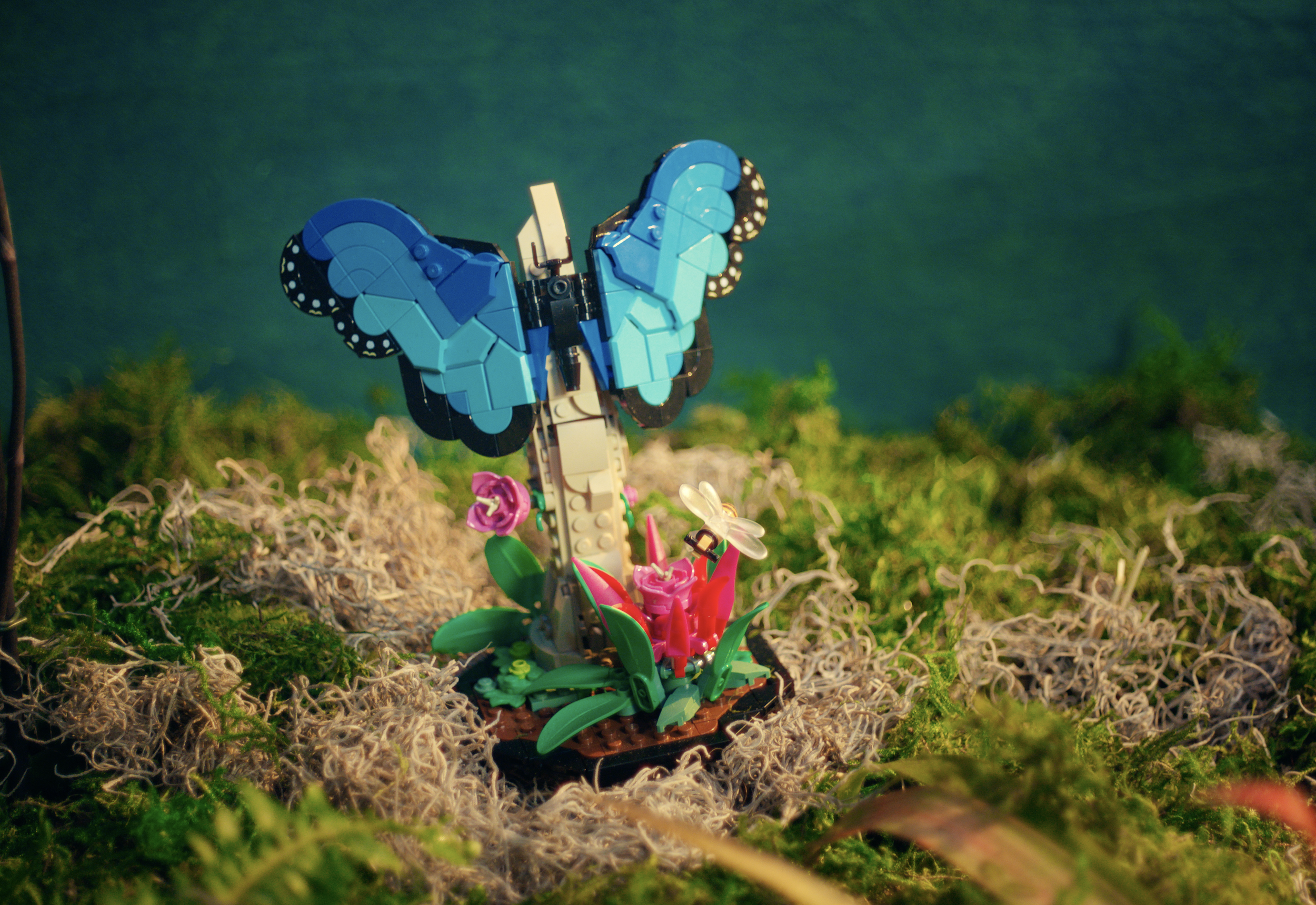 Screen Shot 2023-09-13 at 3.59.26 PM.png