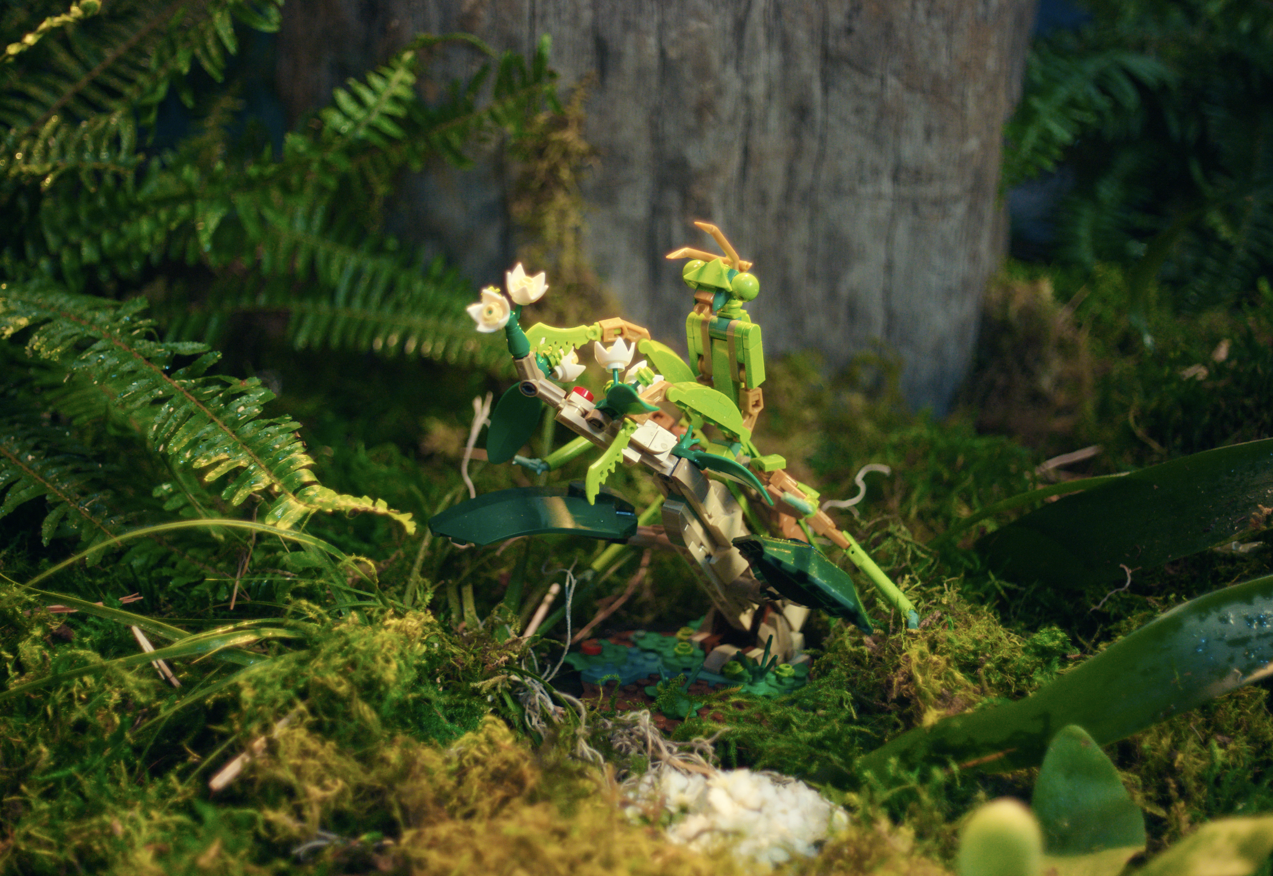 Screen Shot 2023-09-13 at 3.59.36 PM.png