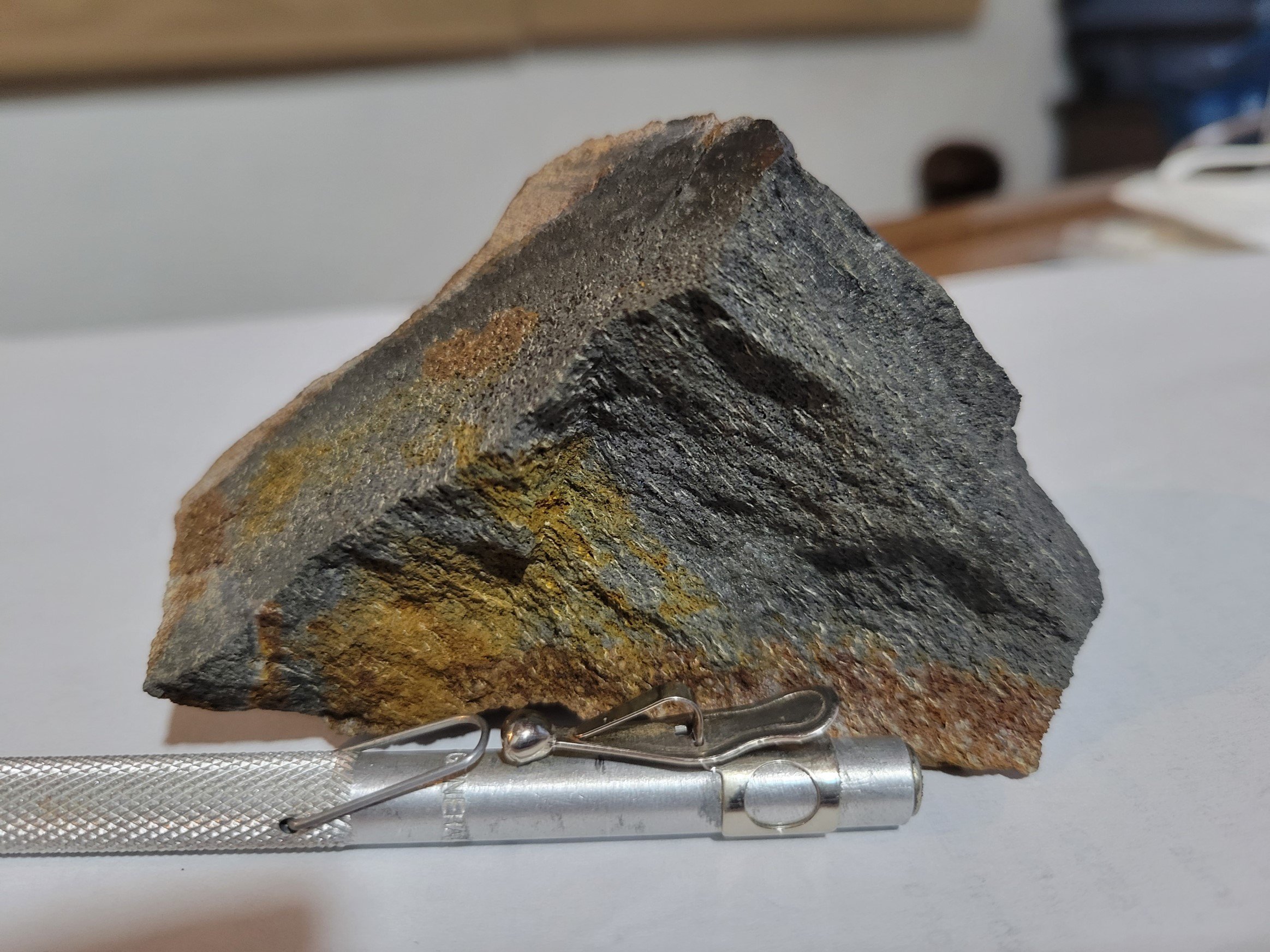 Silicified Schist with fine disseminated pyrite 