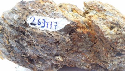 Meta-Granite with vuggy silica