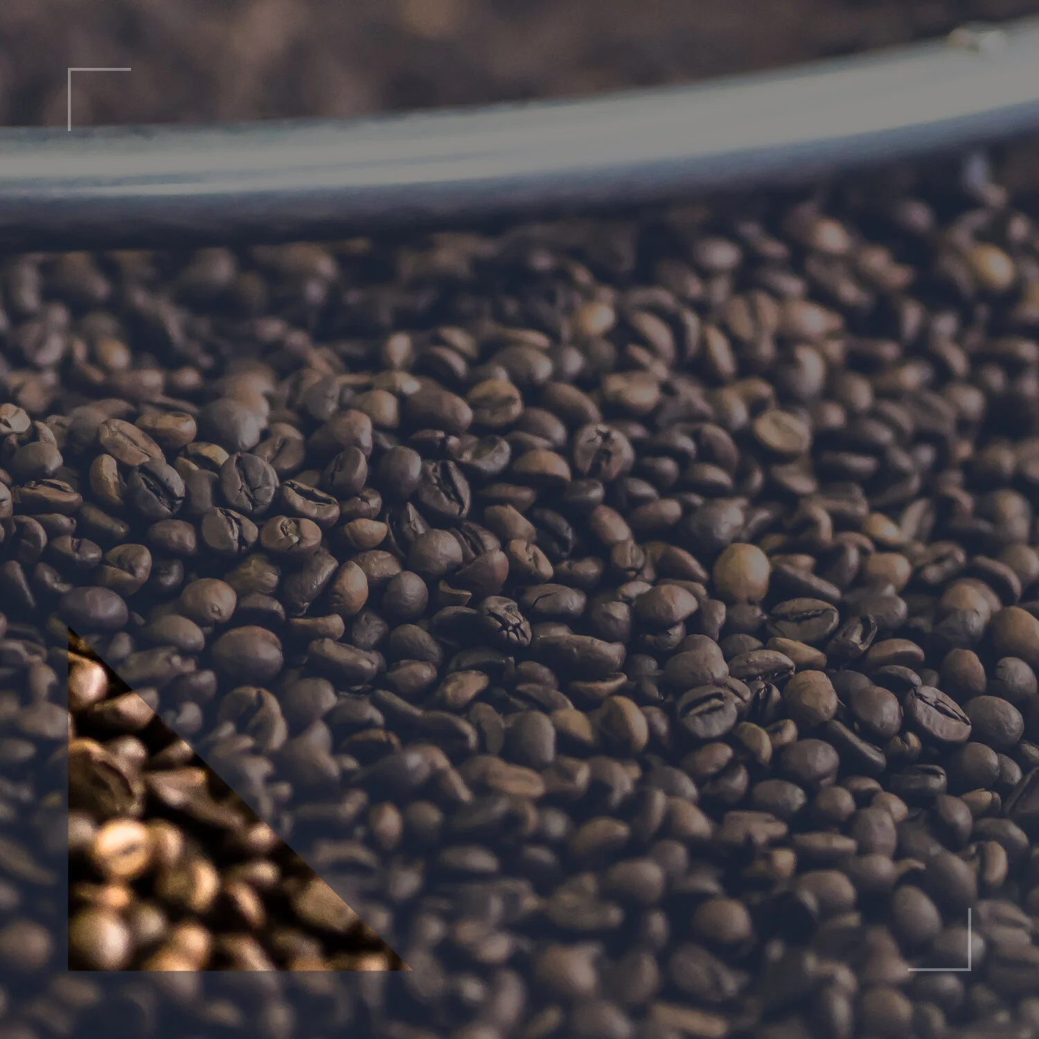 soluciones y maquinaria de café indumei