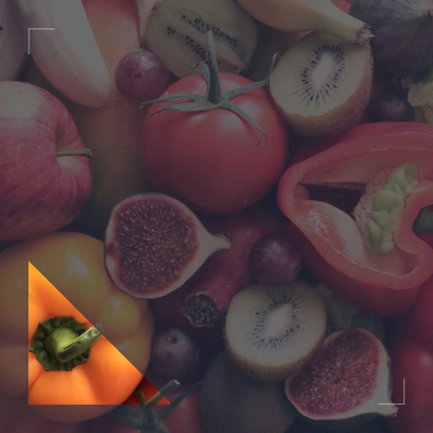 soluciones y maquinaria de FRUTAS indumei