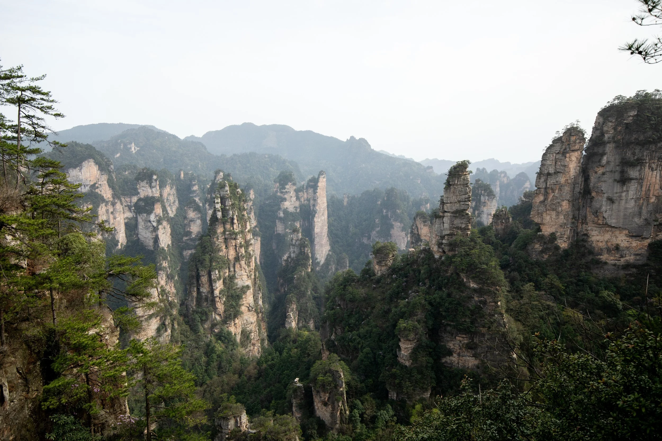 Zhangjiajie National Forest Park: Complete Travel Guide (2026)