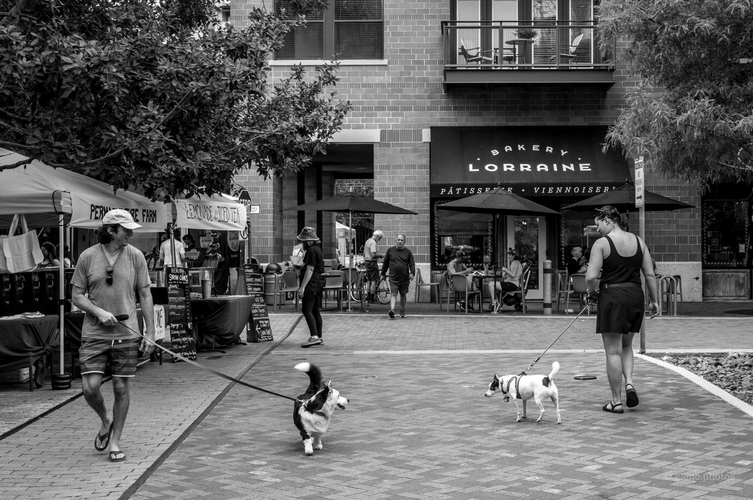 New best friends, San Antonio