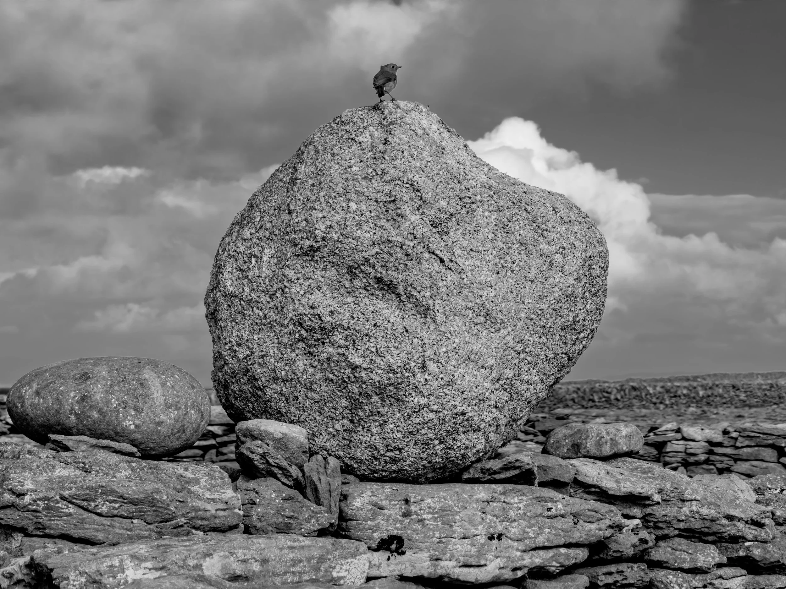 Robin on a rock, St. Enda's Well
