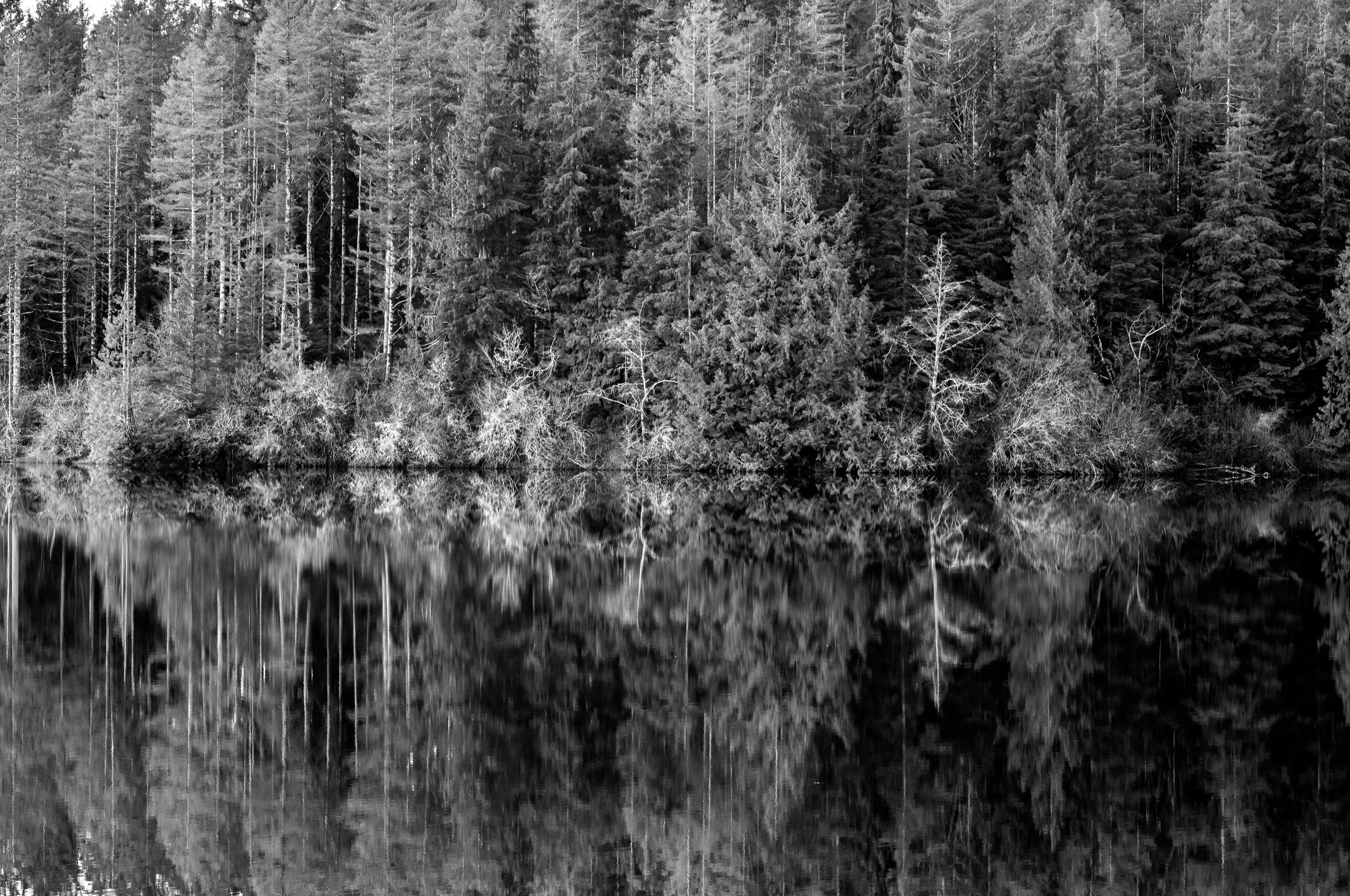 Reflections, Kennedy River (Copy)