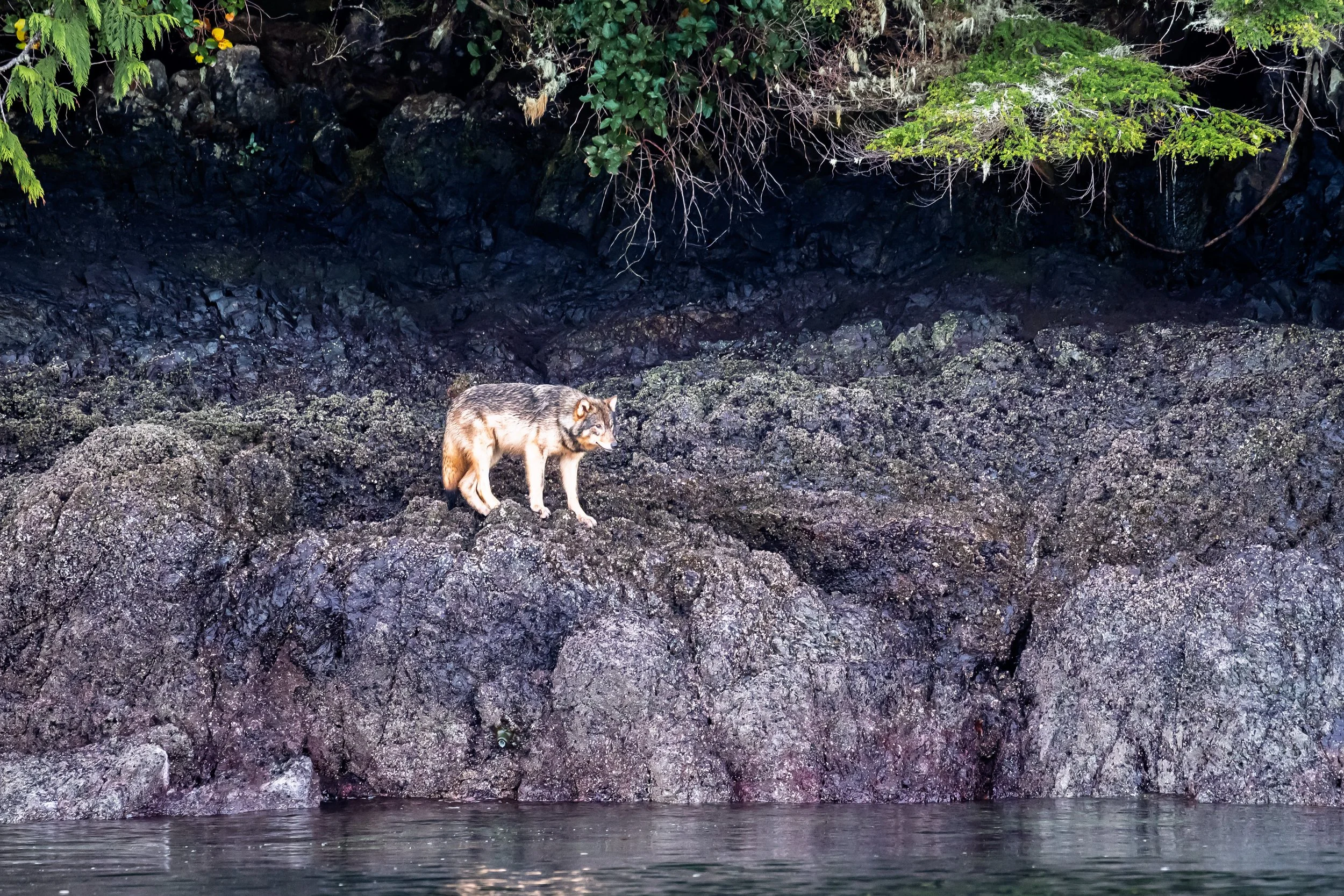 DSC_1180.jpg