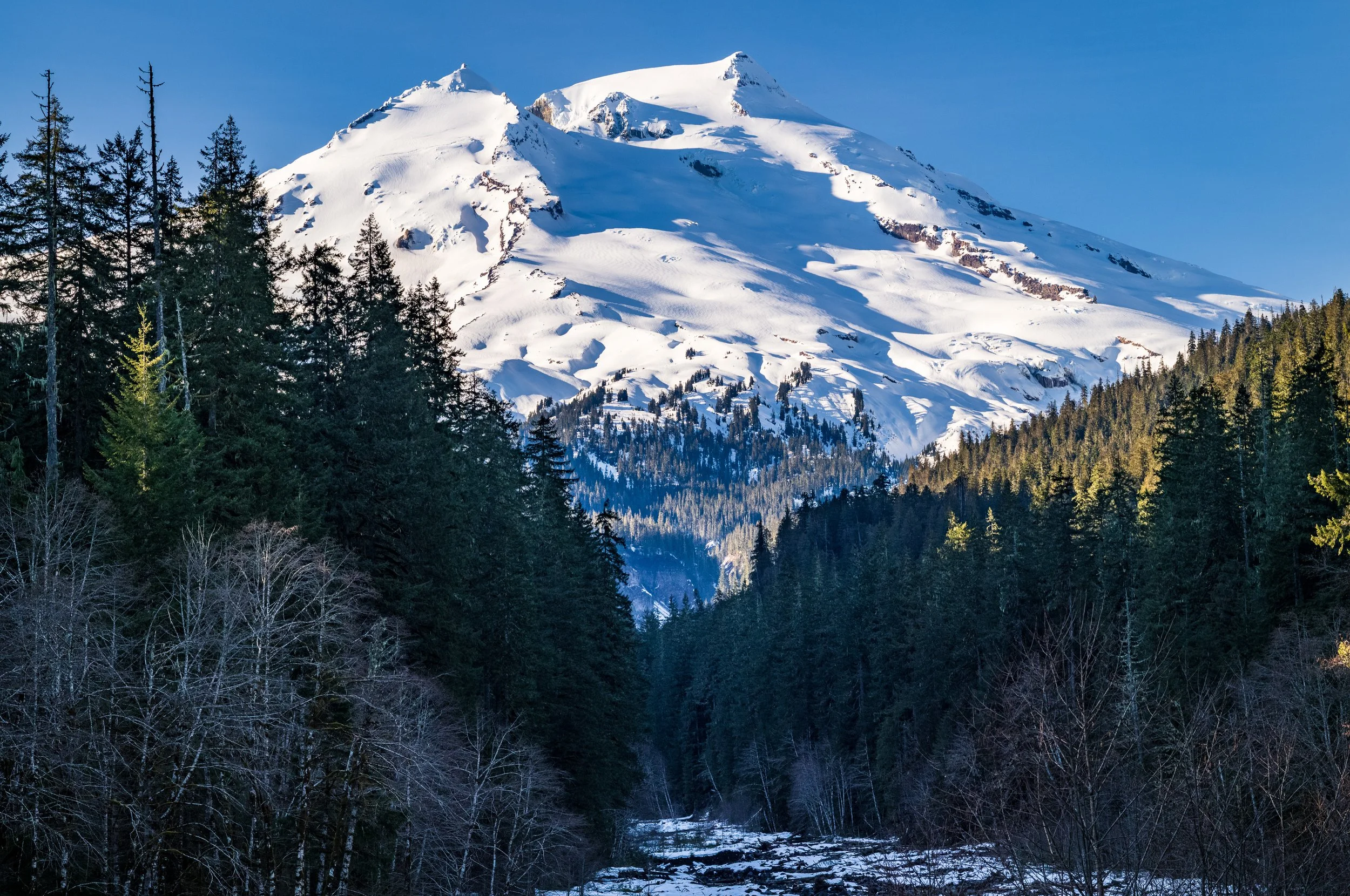 Koma Kulshan (Mt Baker)