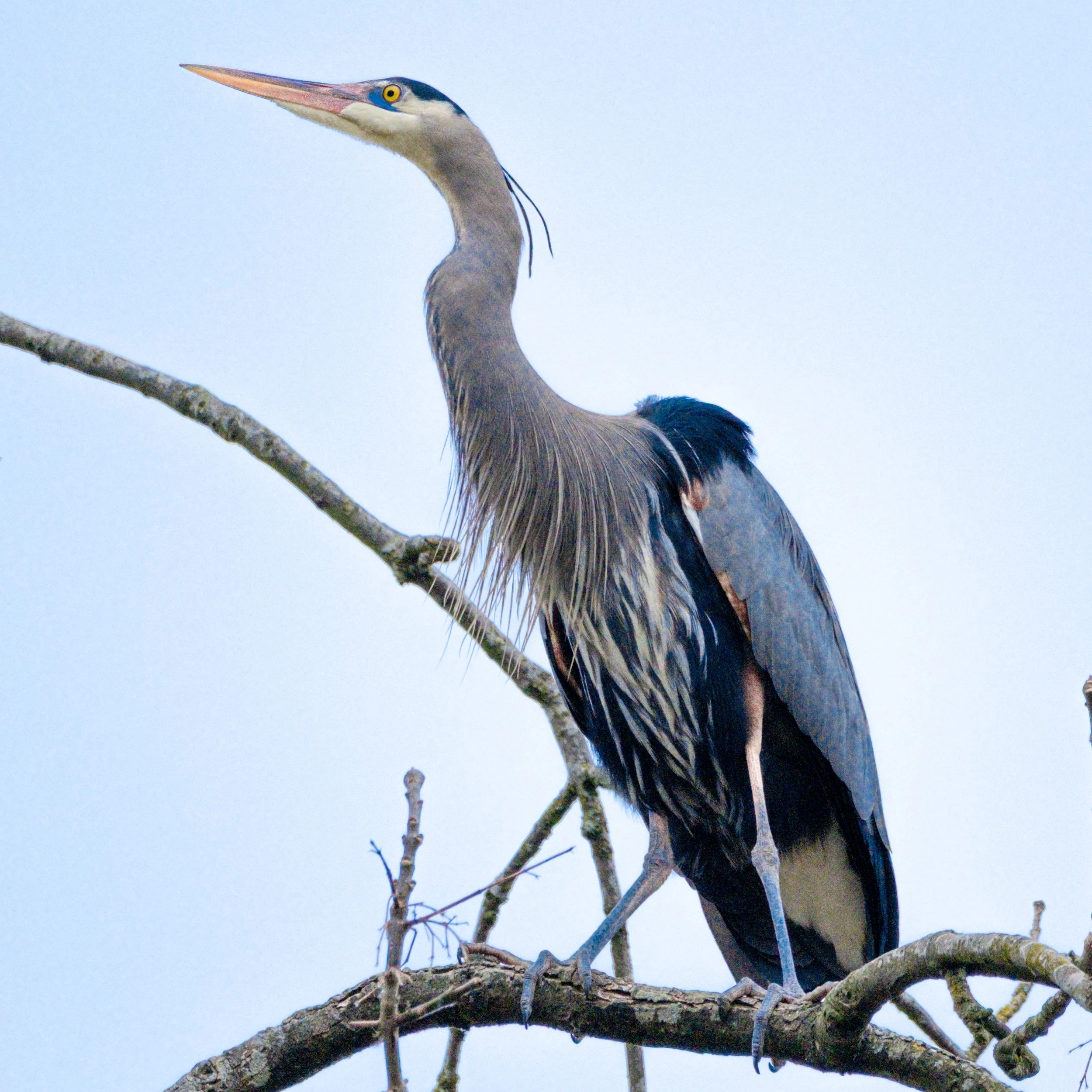 DSCF1515.jpg