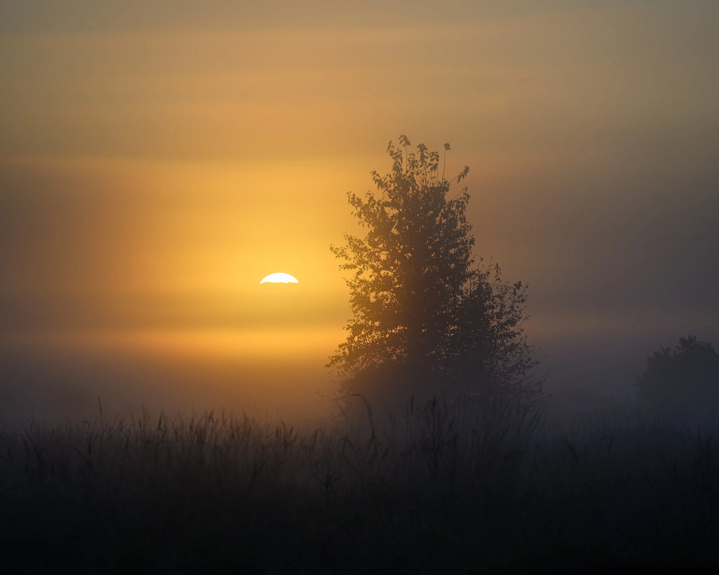 Sunrise, Skagit Valley