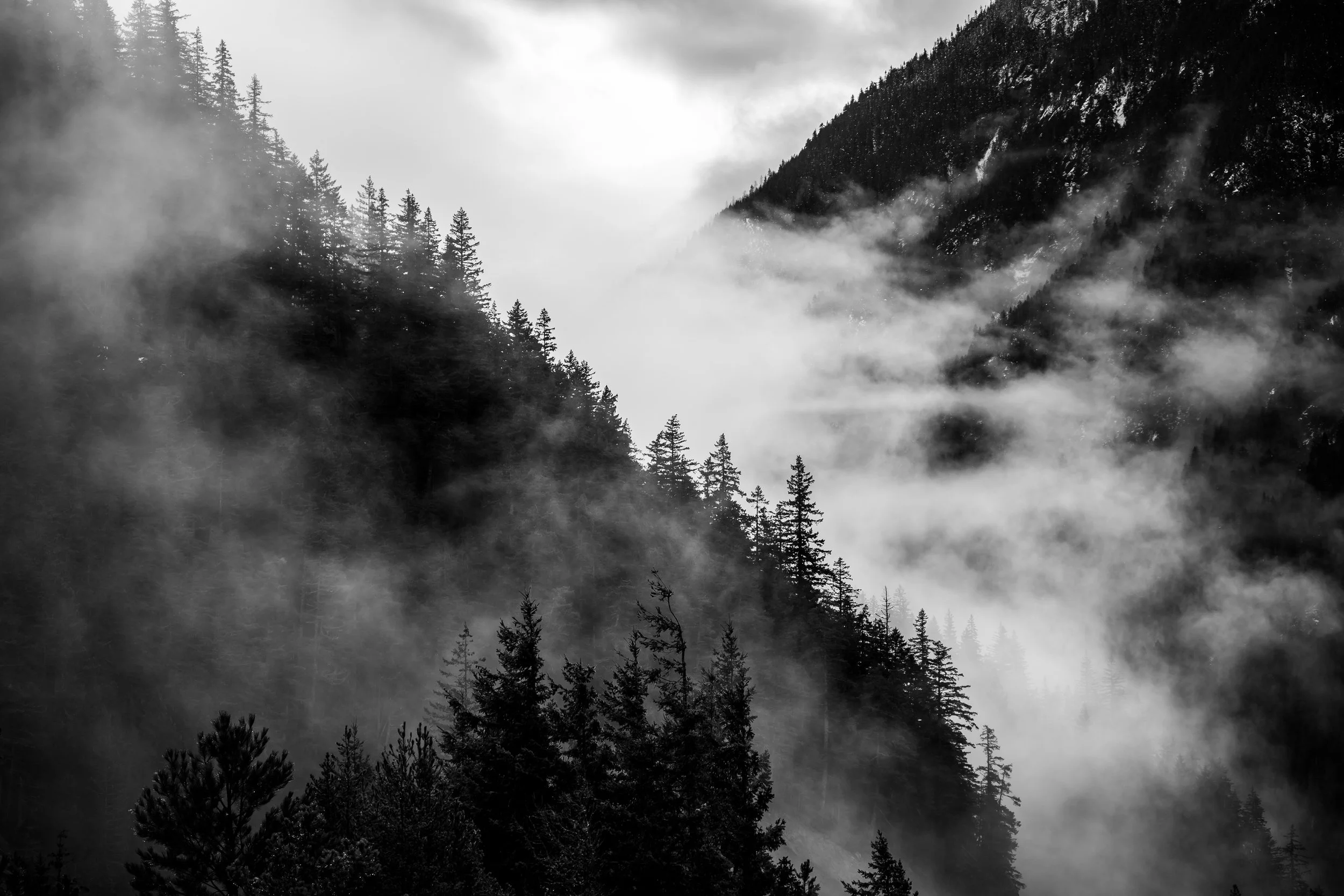 Fog, North Cascades