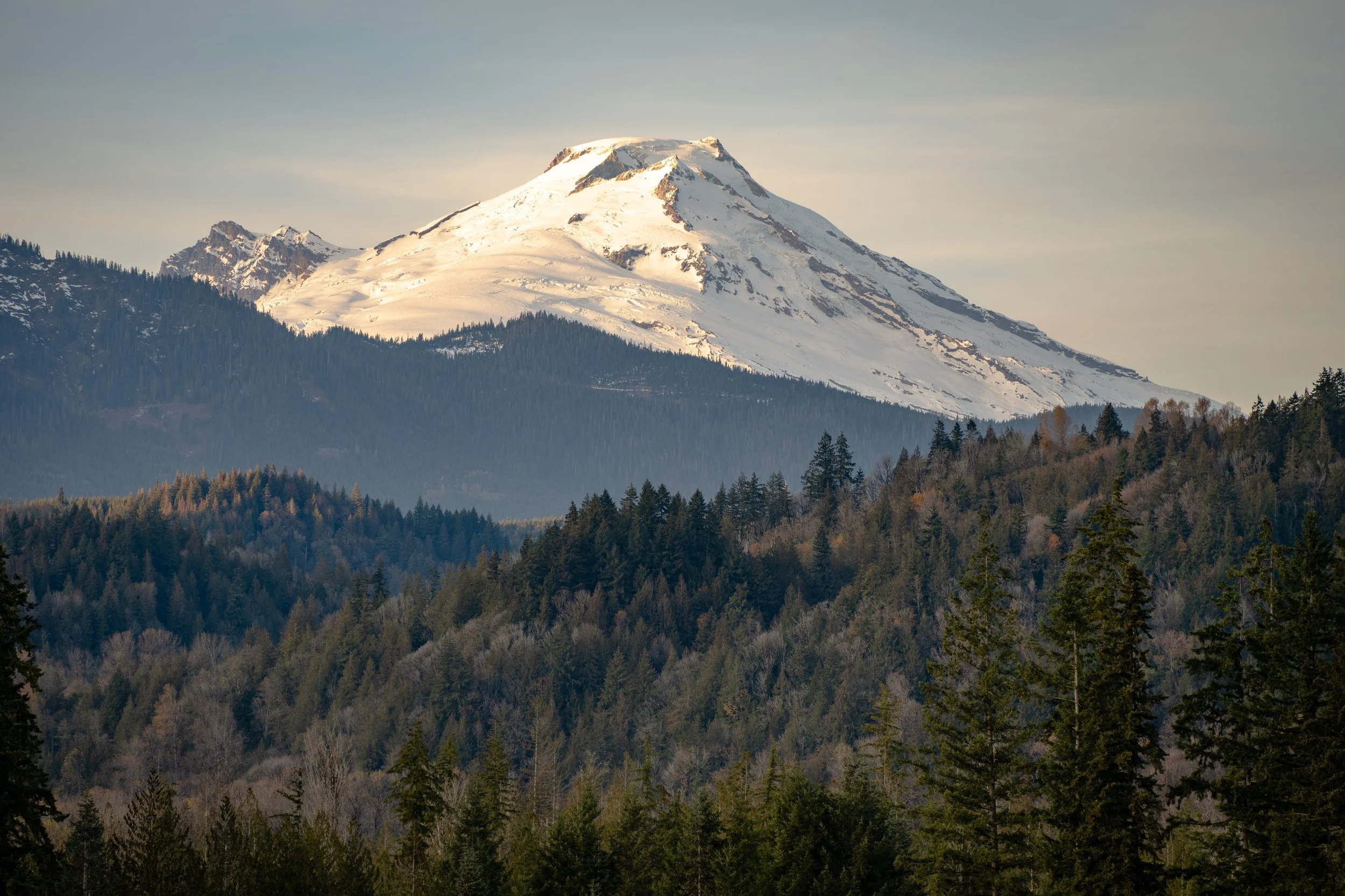 DSCF0630.jpg