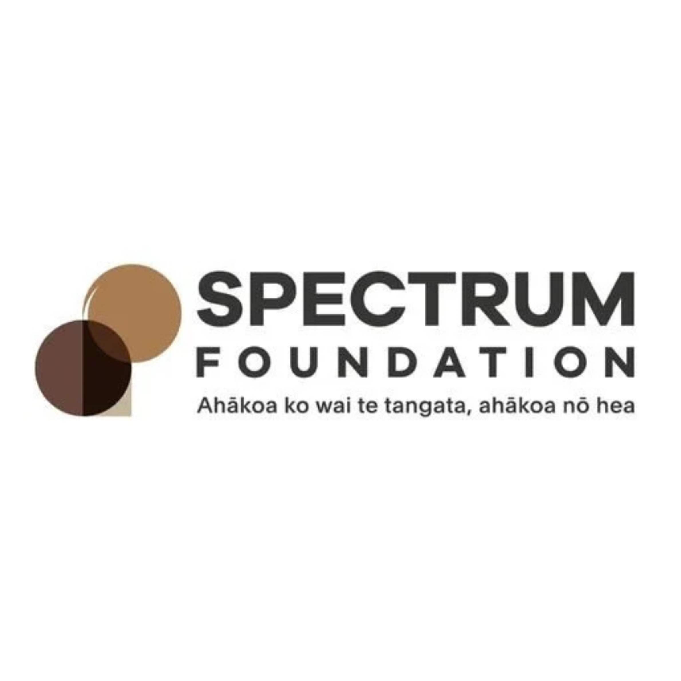 Spectrum Foundation Logo