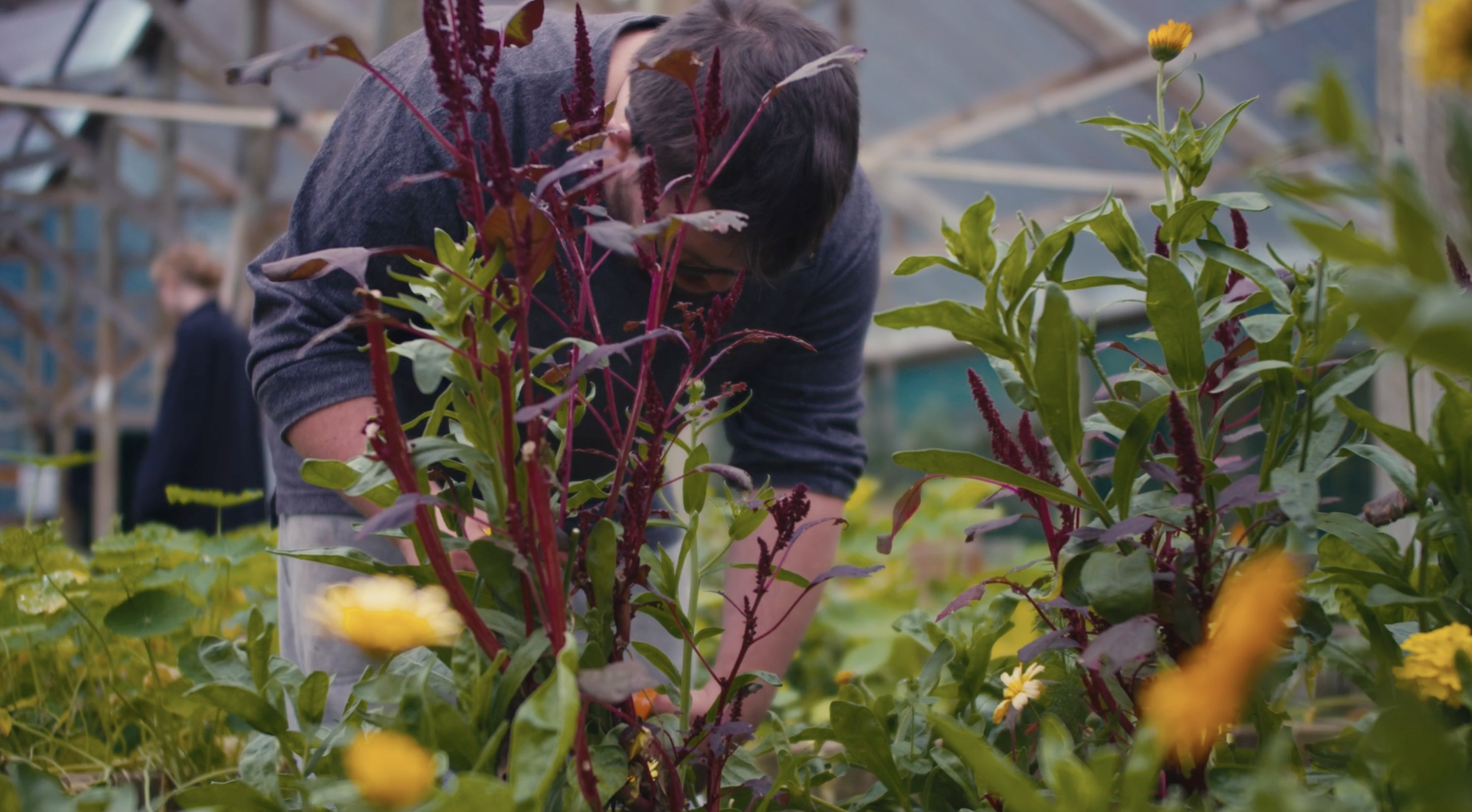 Trainee cutting herbs.
