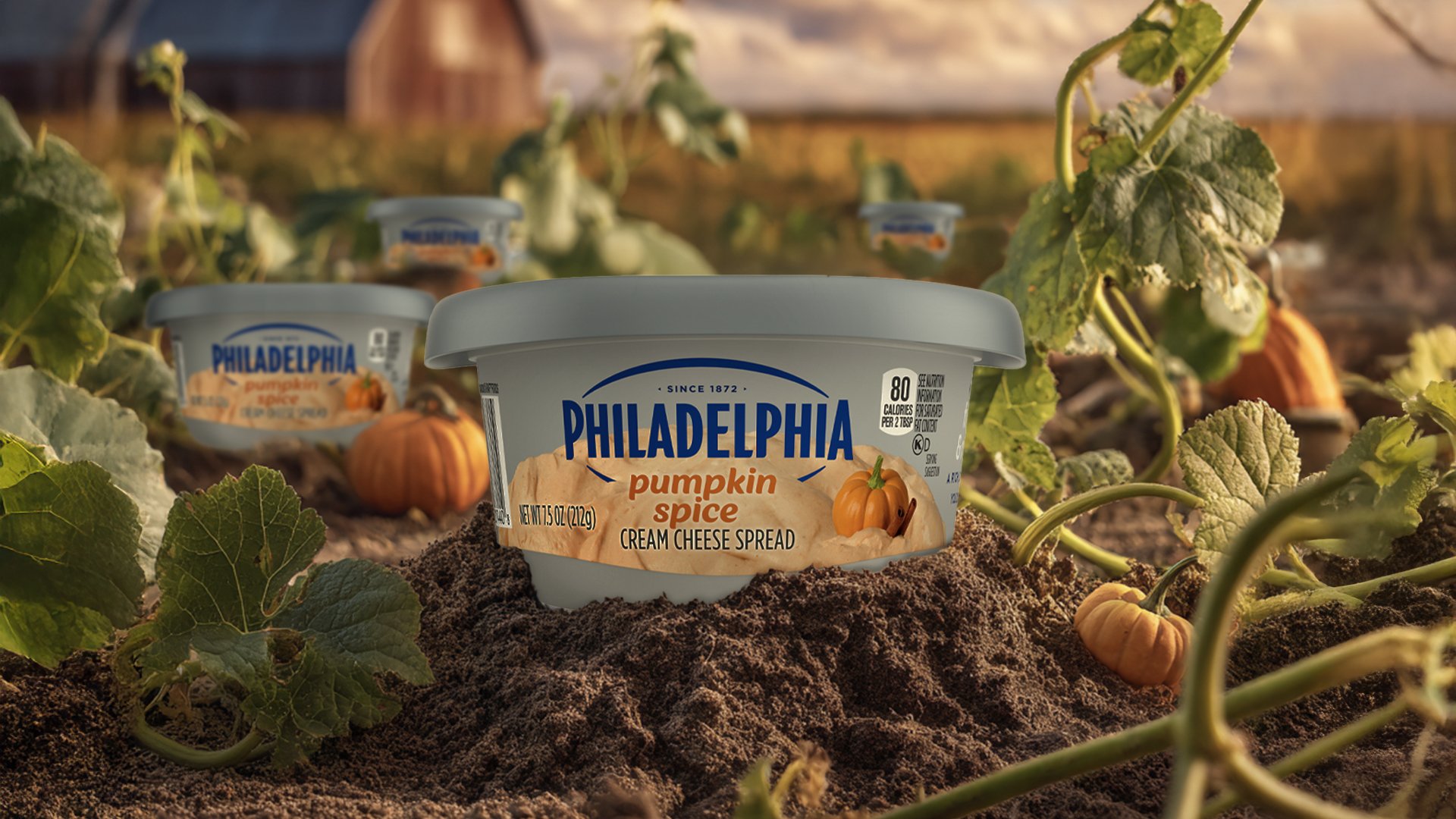 Pumpkin Spice Cream Cheese photohopped into a pumpkin patch
