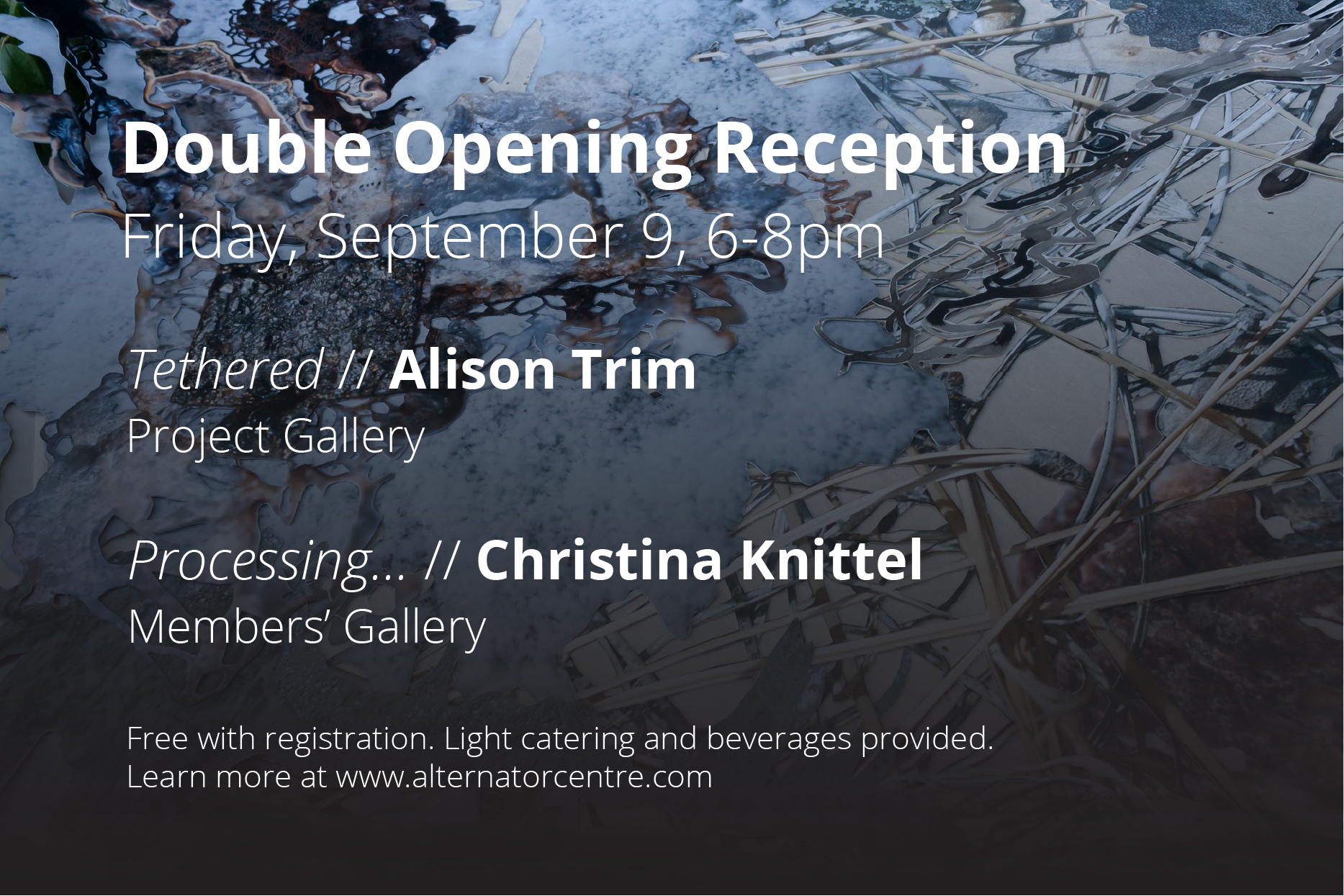 Double Opening Reception // Alison Trim & Christina Knittel