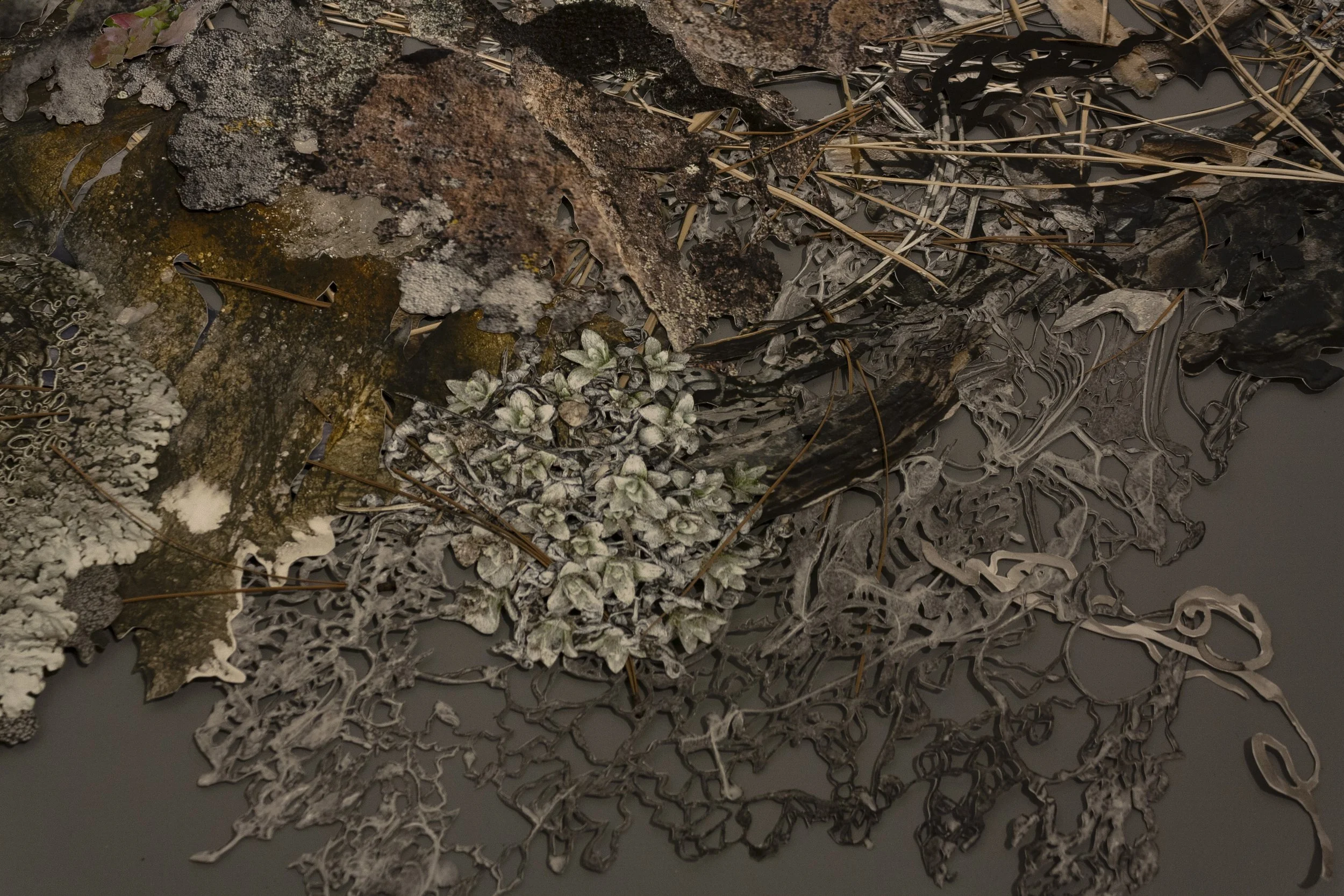 Alternator Centre for Contemporary Art