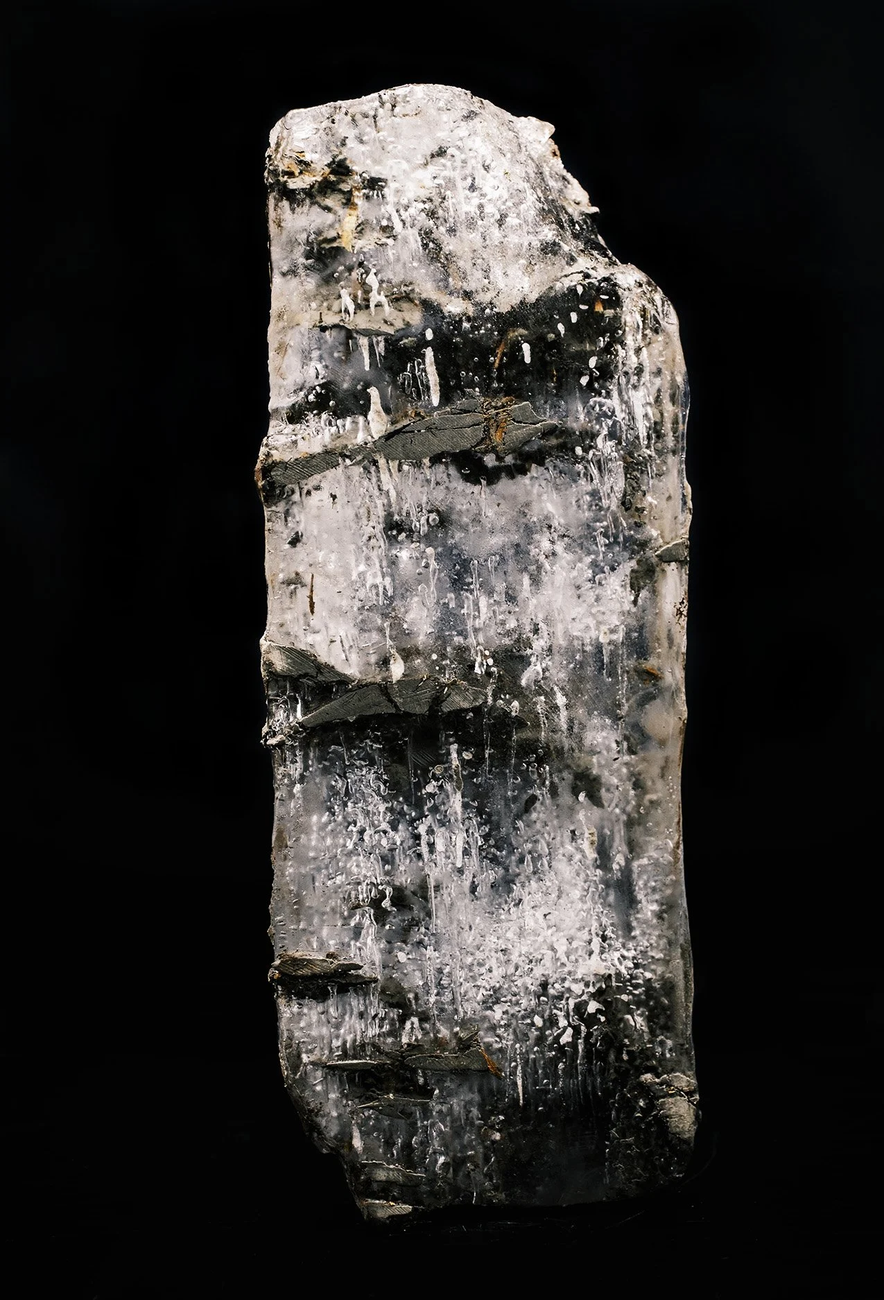Tara Nicholson // Mammoths, EcoZombies and Permafrost Extinction