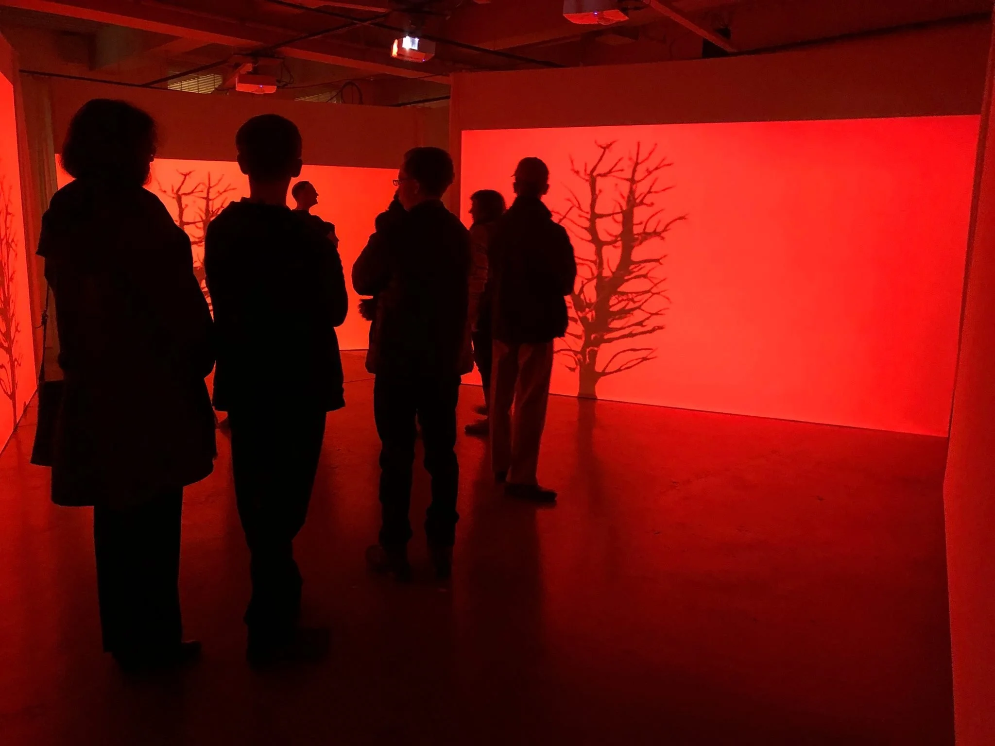  Ian Johnston 'Fine Line: Check Check' // Community Tour