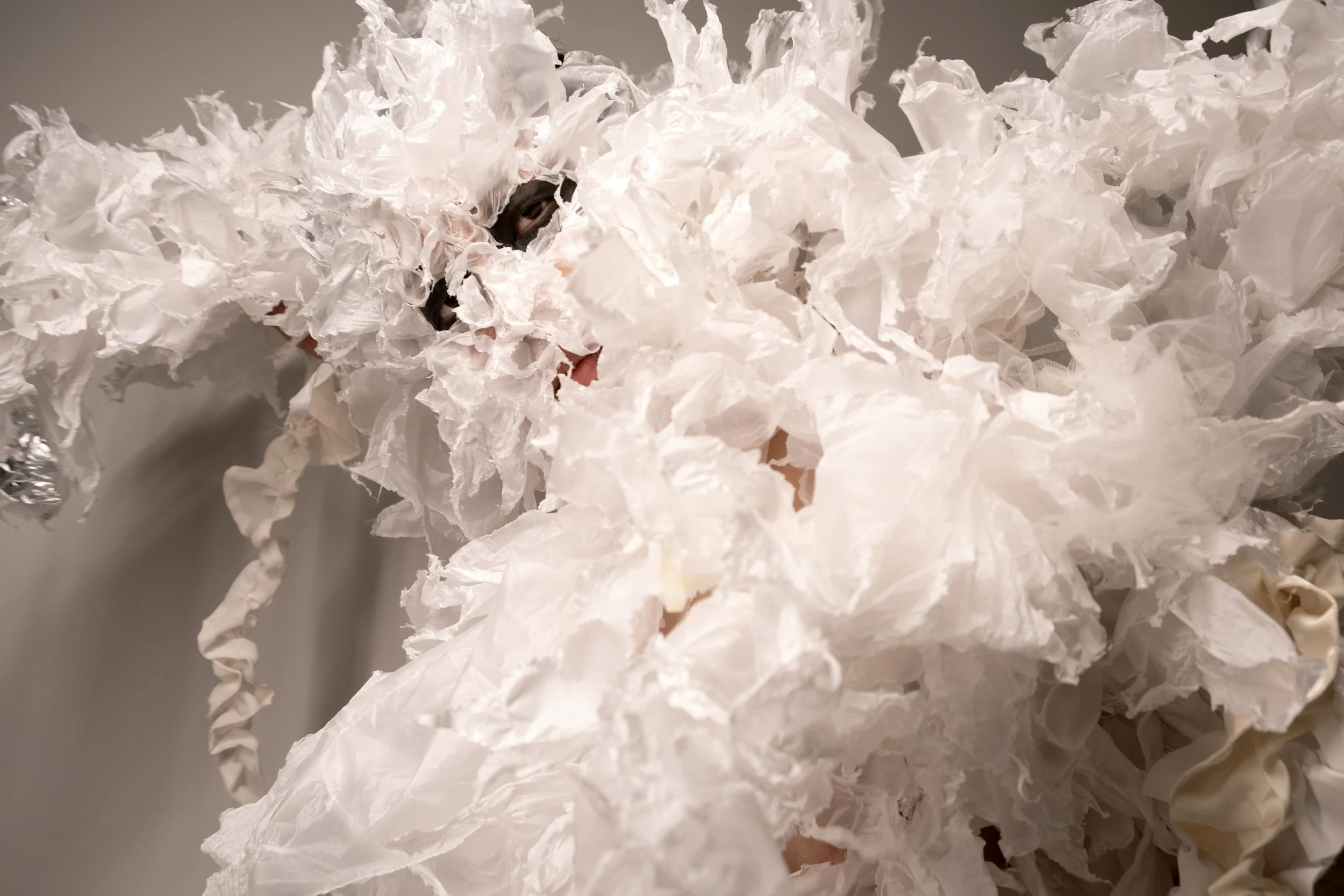 SHAPESHIFTERS // Curated by Carmen Levy-Milne