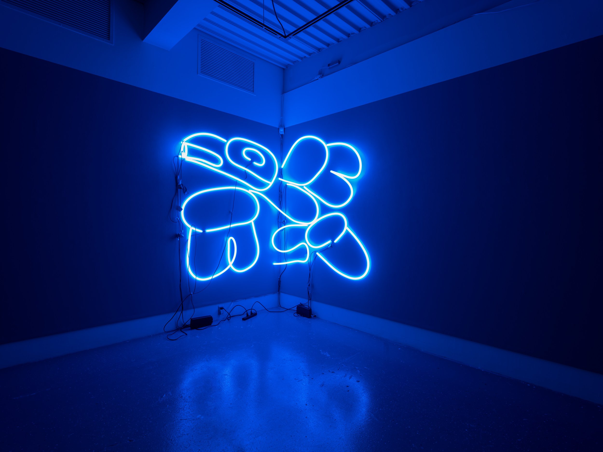 suntraces: the code we carry