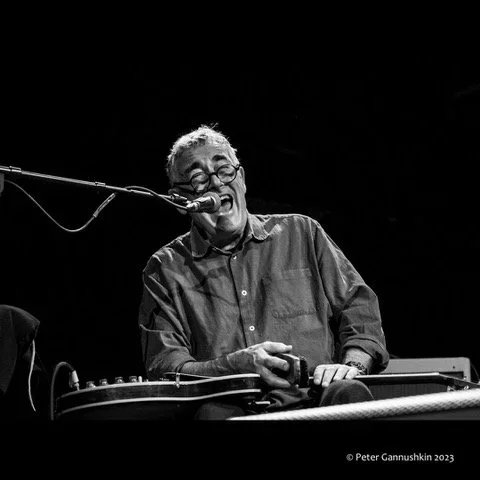 Skin And Bones // Fred Frith And Emily Denison