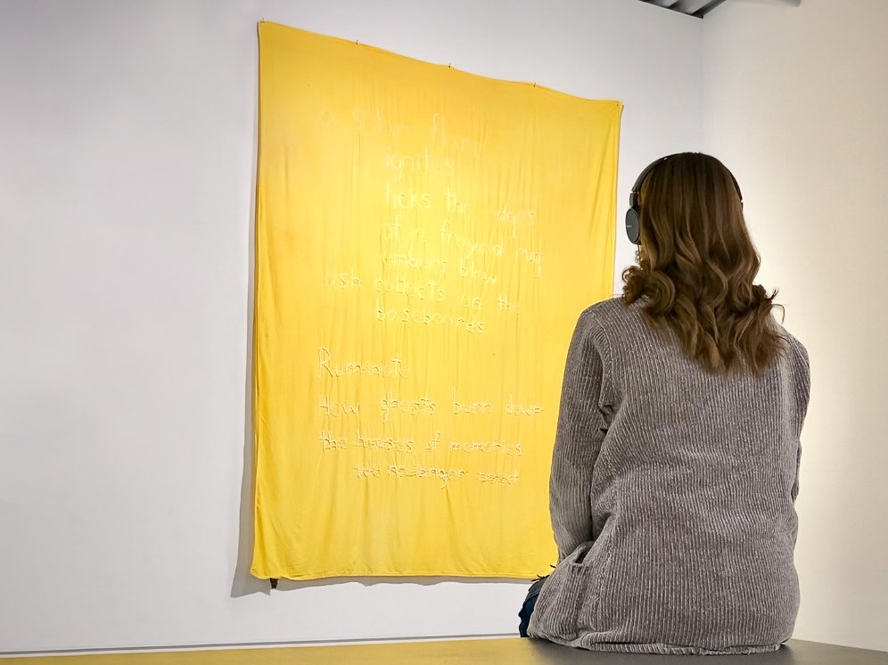 How to Be in an Art Gallery