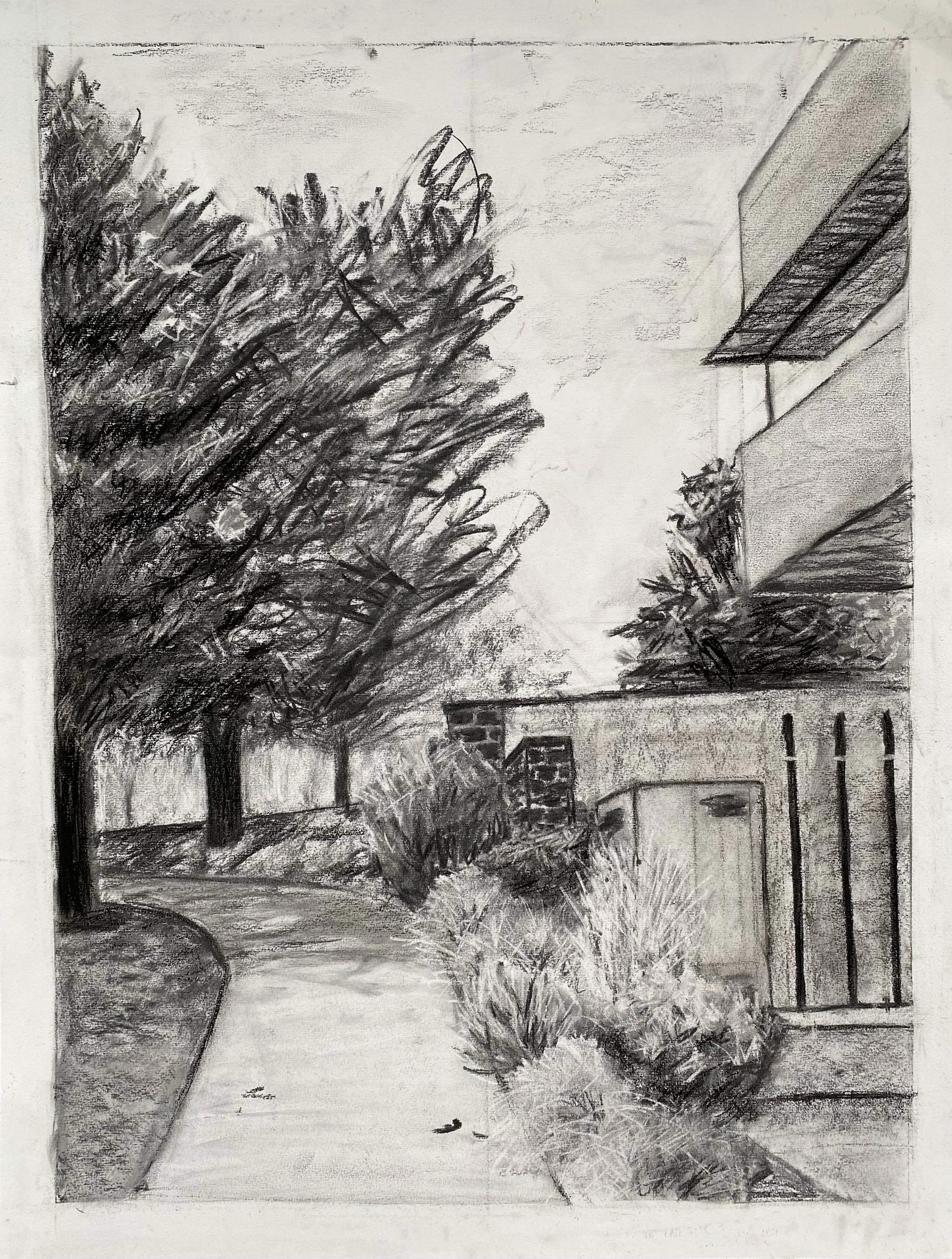 %22FCCS%22 Zoë Caine 2025 19x25%22 Charcoal on Charcoal Paper.JPG