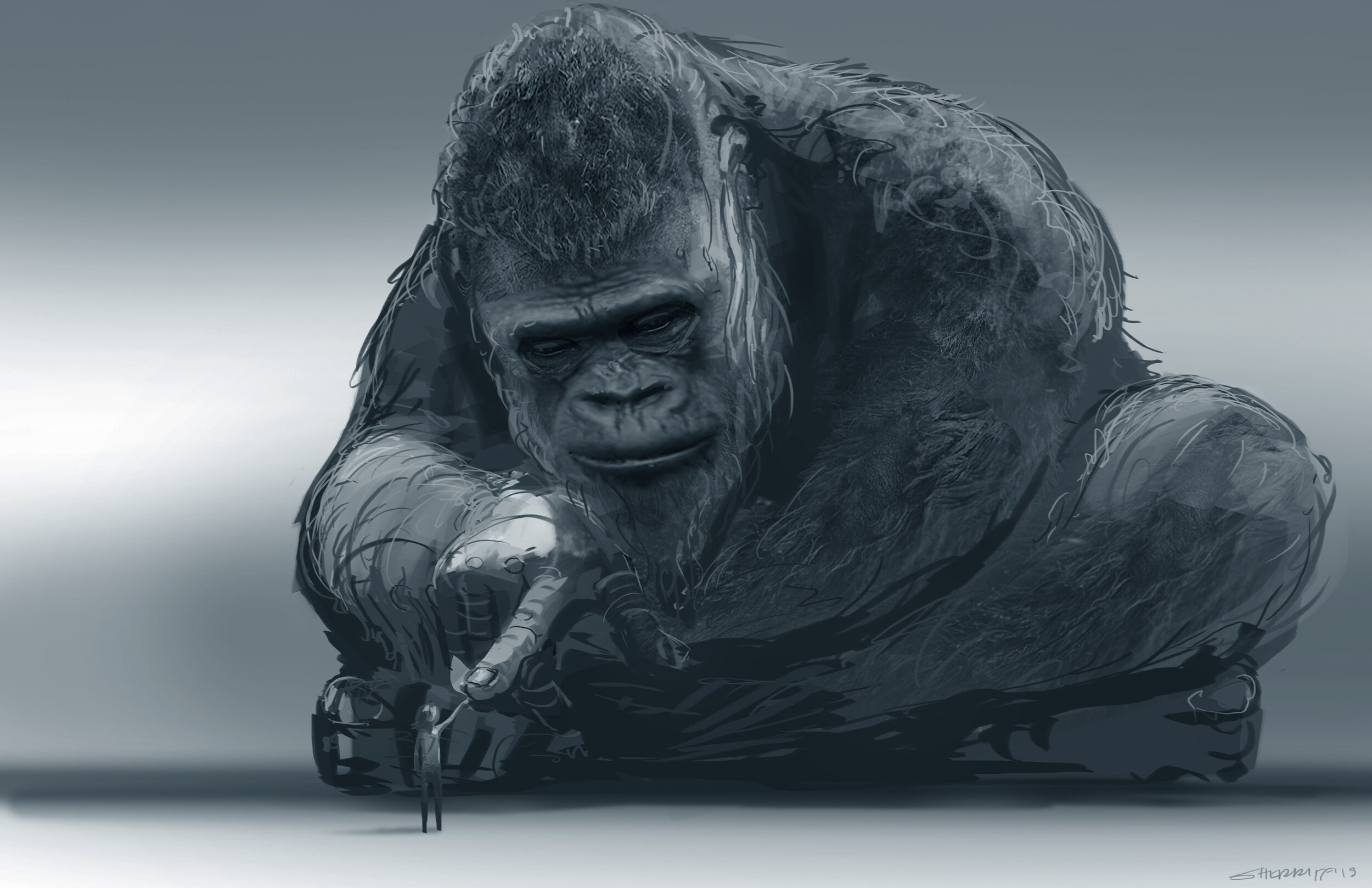 000_Key_KongGirl_180208_v004_Sketch2_DS.jpg