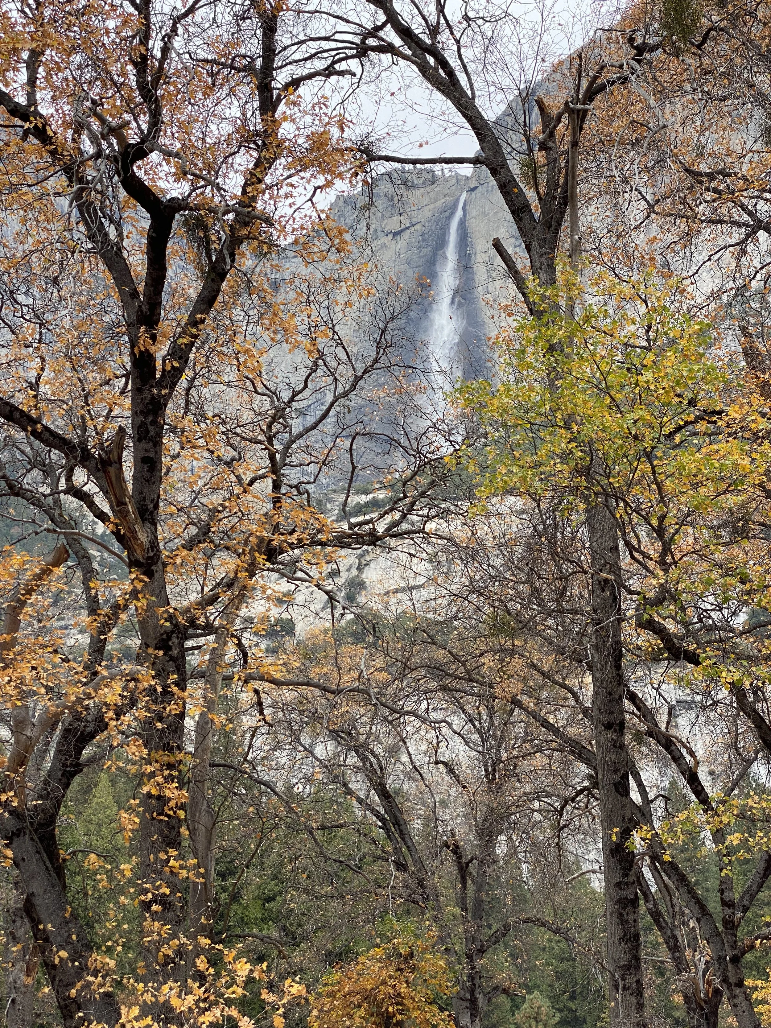 Yosemite Falls