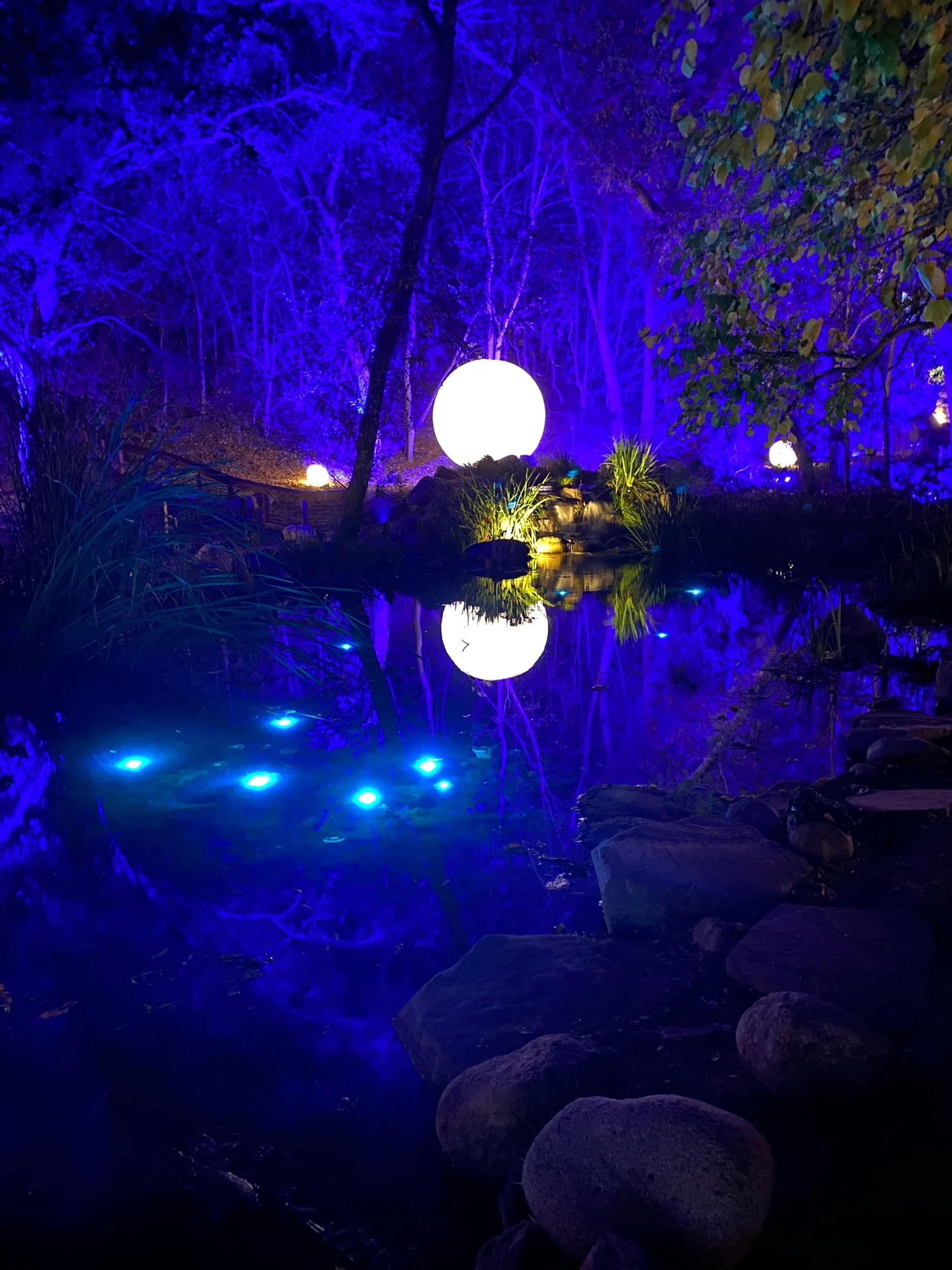 Descanso Enchanted Lights 2021