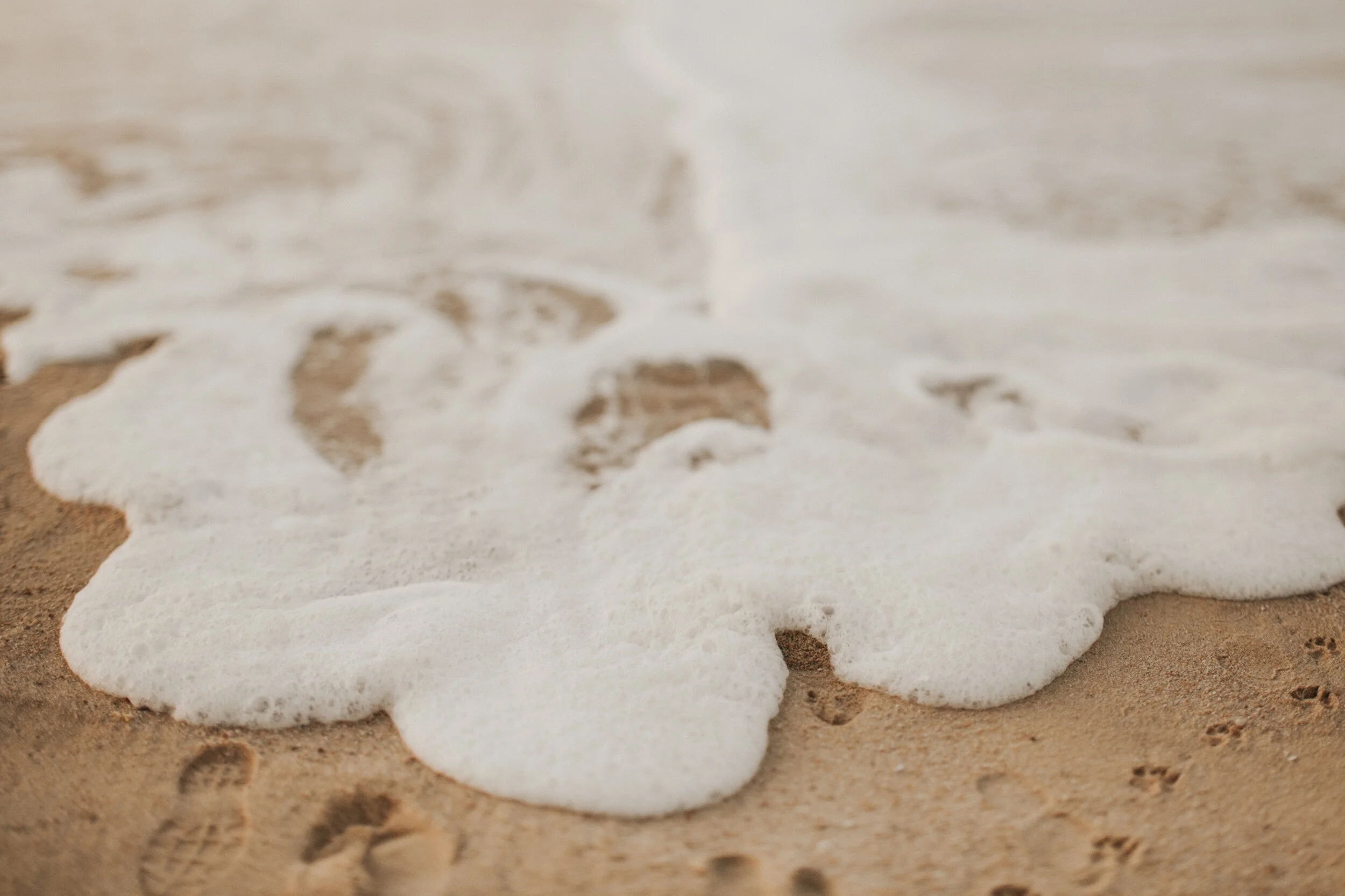 Cabo San Lucas: Foam