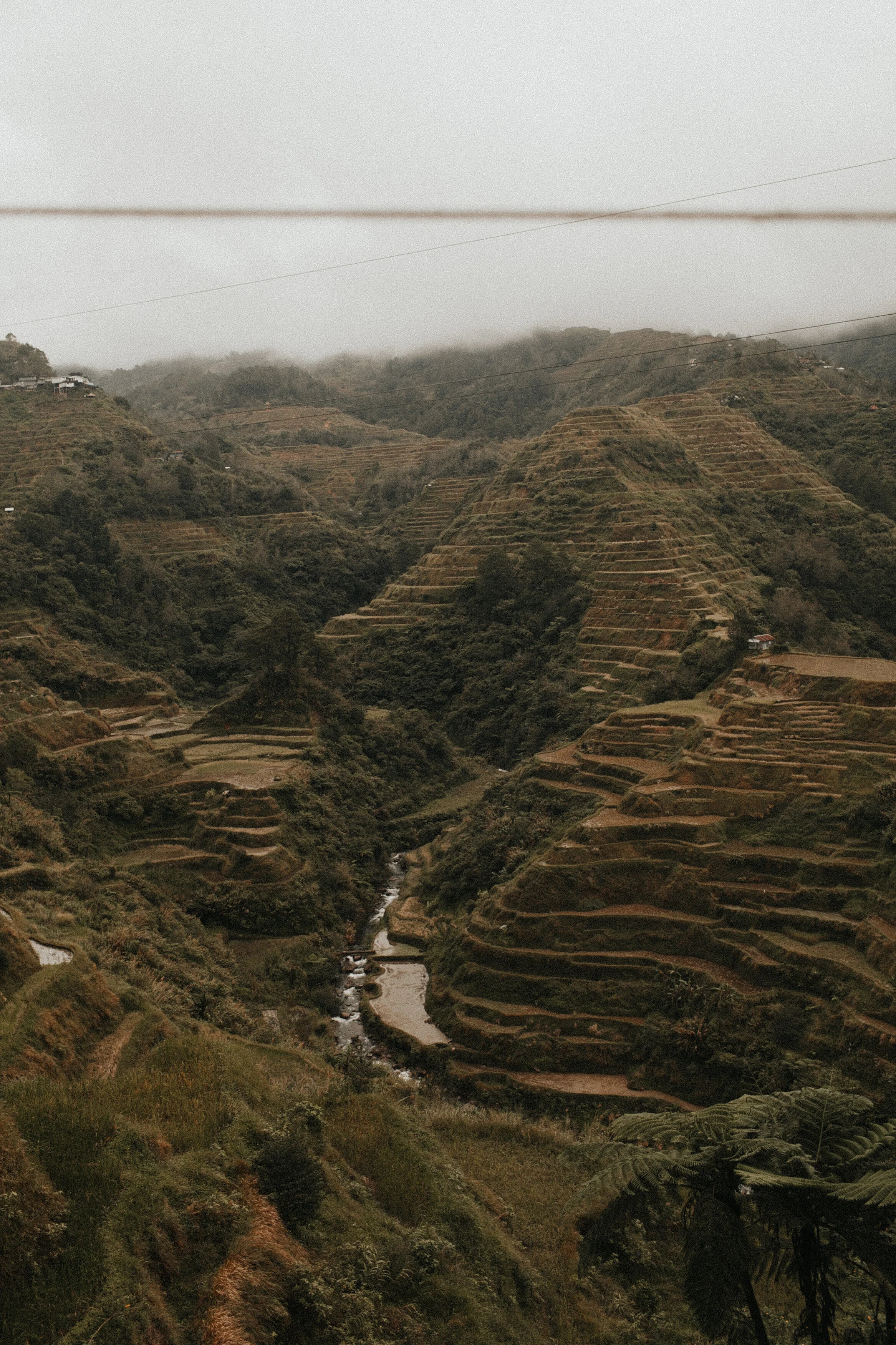 Philippines: Where the Rice Patties Grow