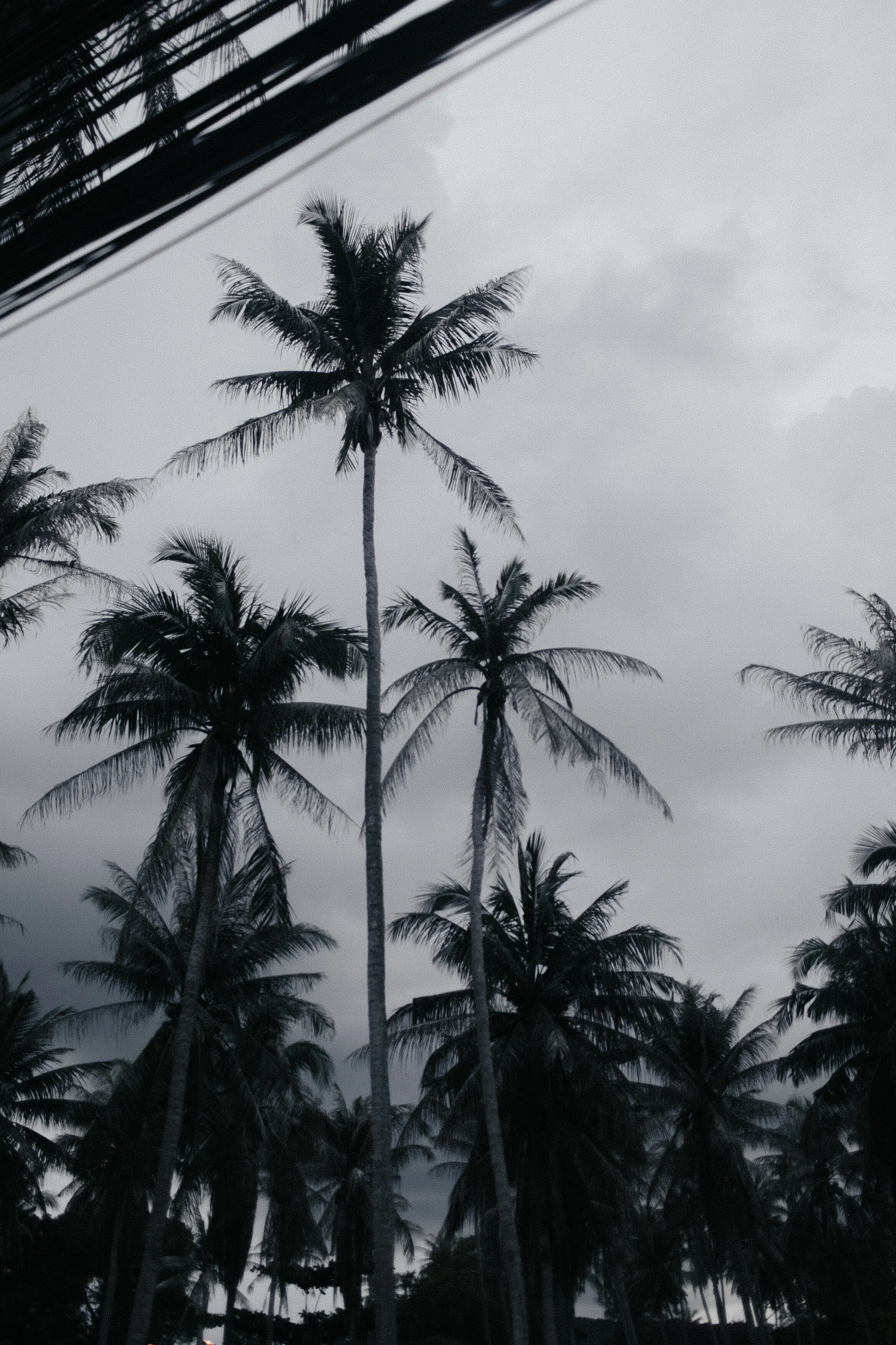 Thailand: Cruising Night Sky