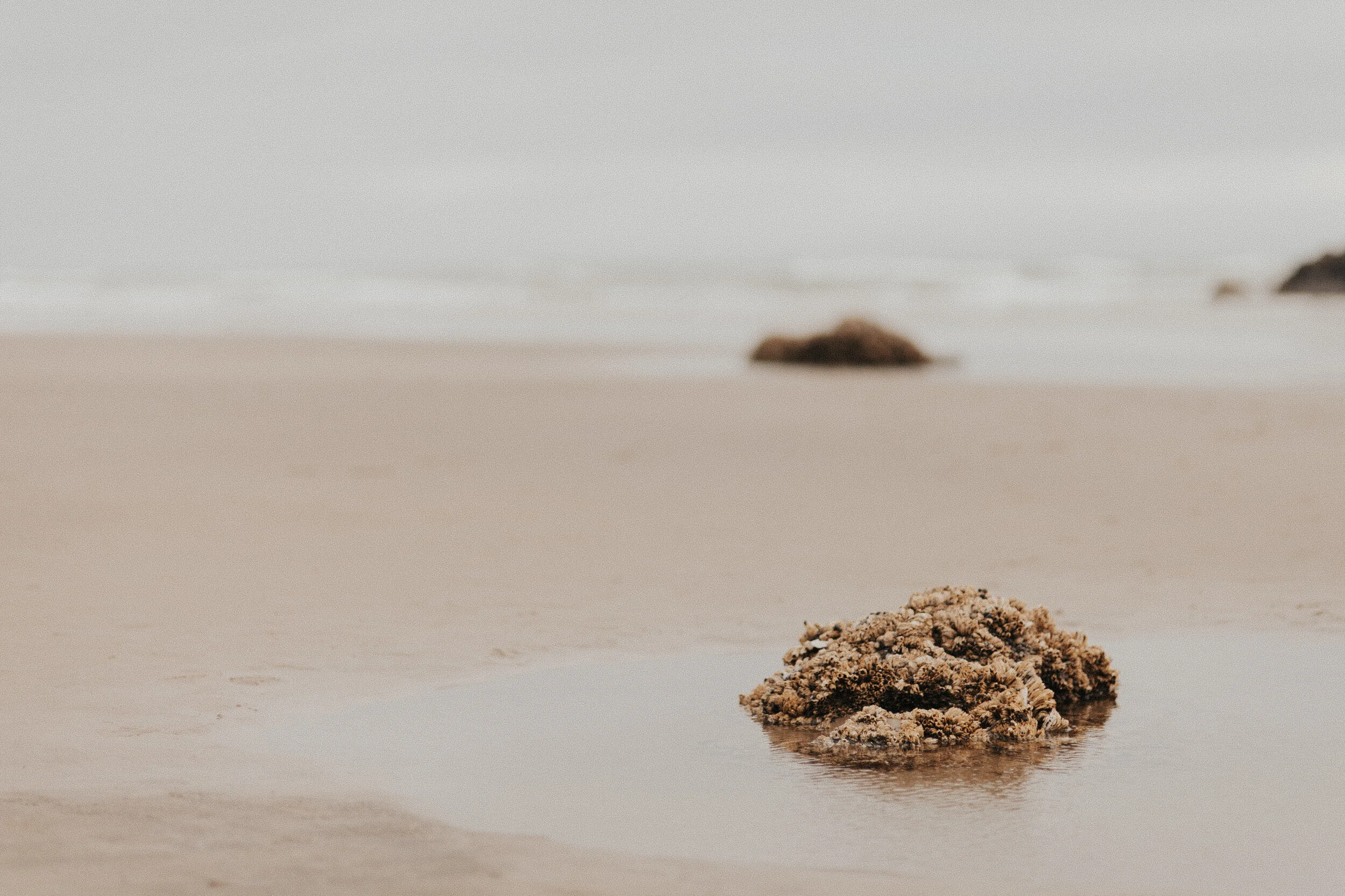 Canon Beach: Standing Water