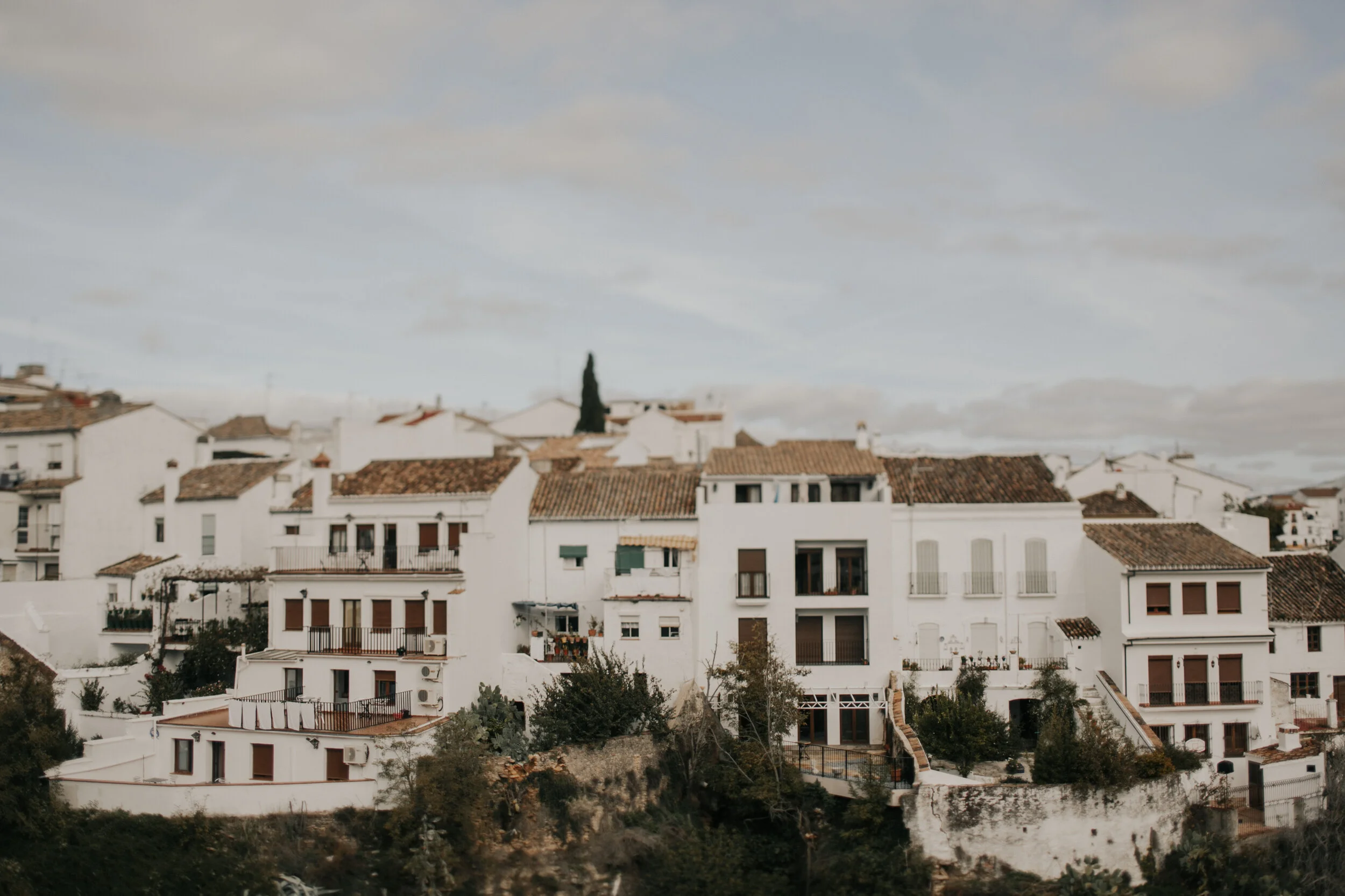 Spain: Rhonda Lineup