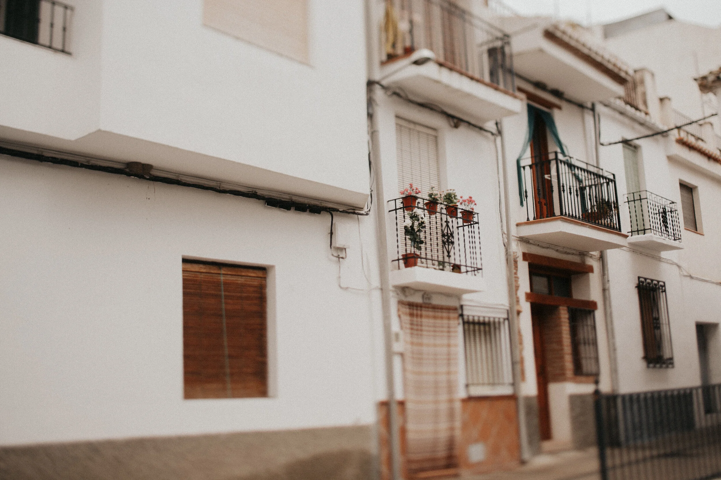 Spain: Flower Pot Wall