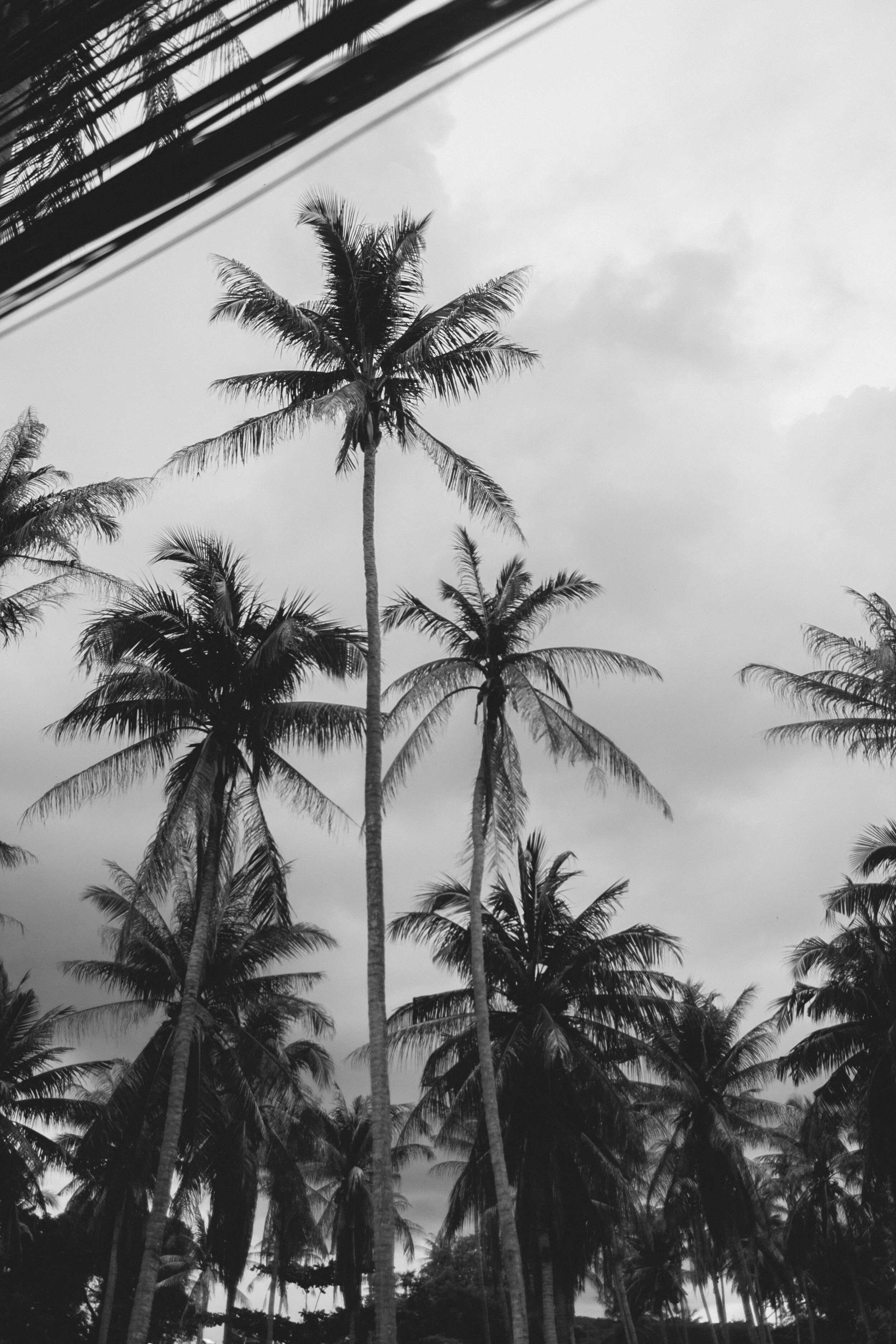Thailand: Cruising Night Sky (B&W) (Vertical)