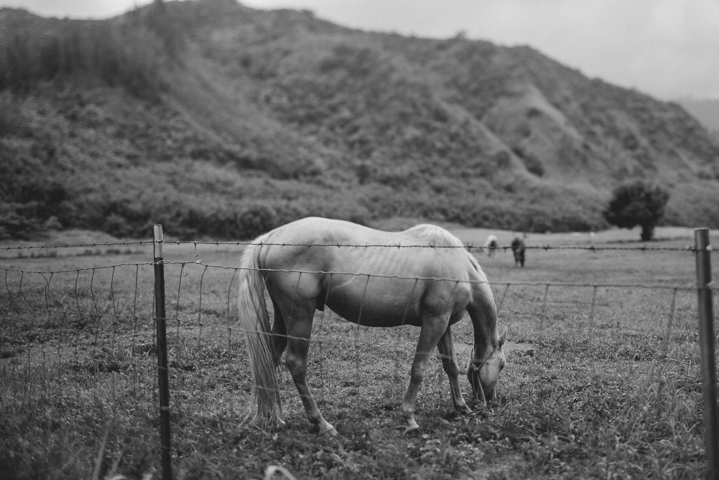 Spain: White Building (B&W)