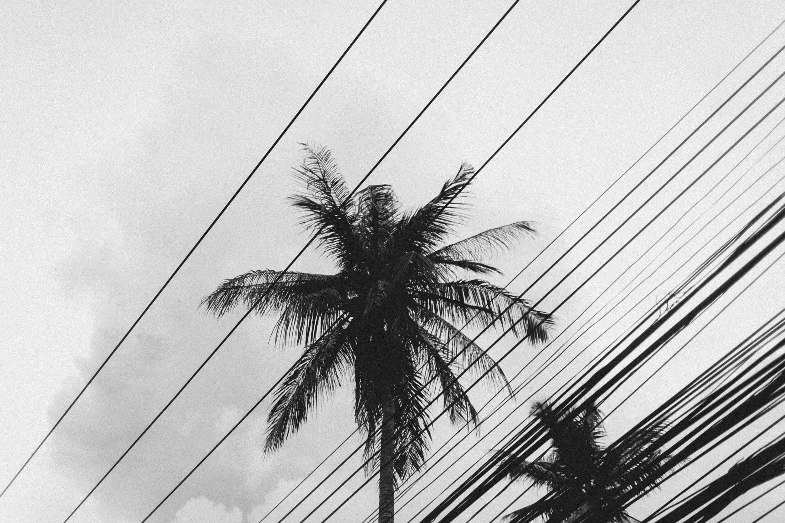Tulum: Flying Flag (B&W)