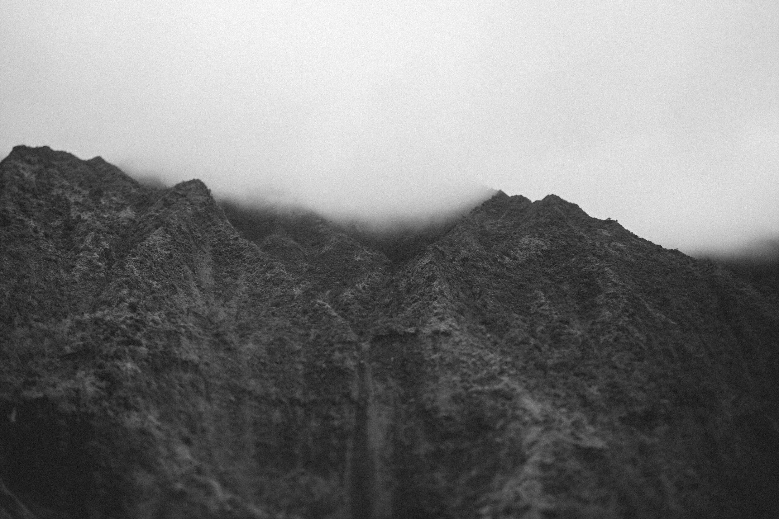 Kauai: Foggy Greens (B&W)