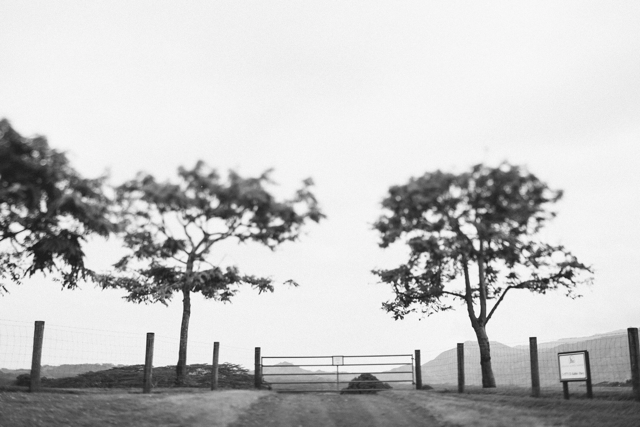 Kauai: Jurassic Park (B&W)