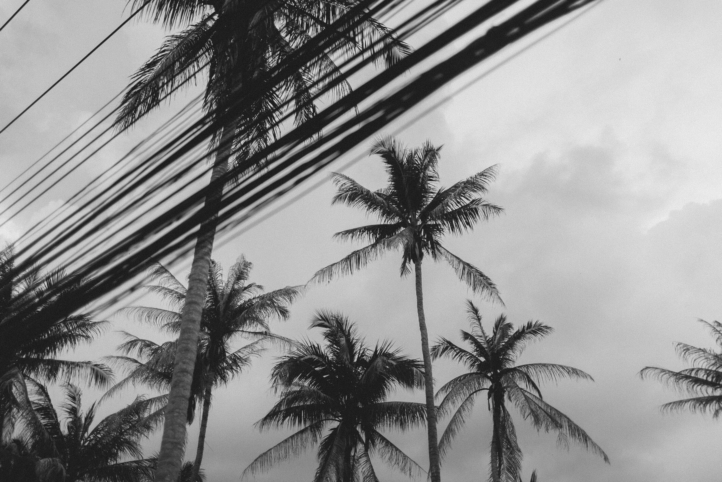 Koh Phangan -- Thailand 0123.jpg