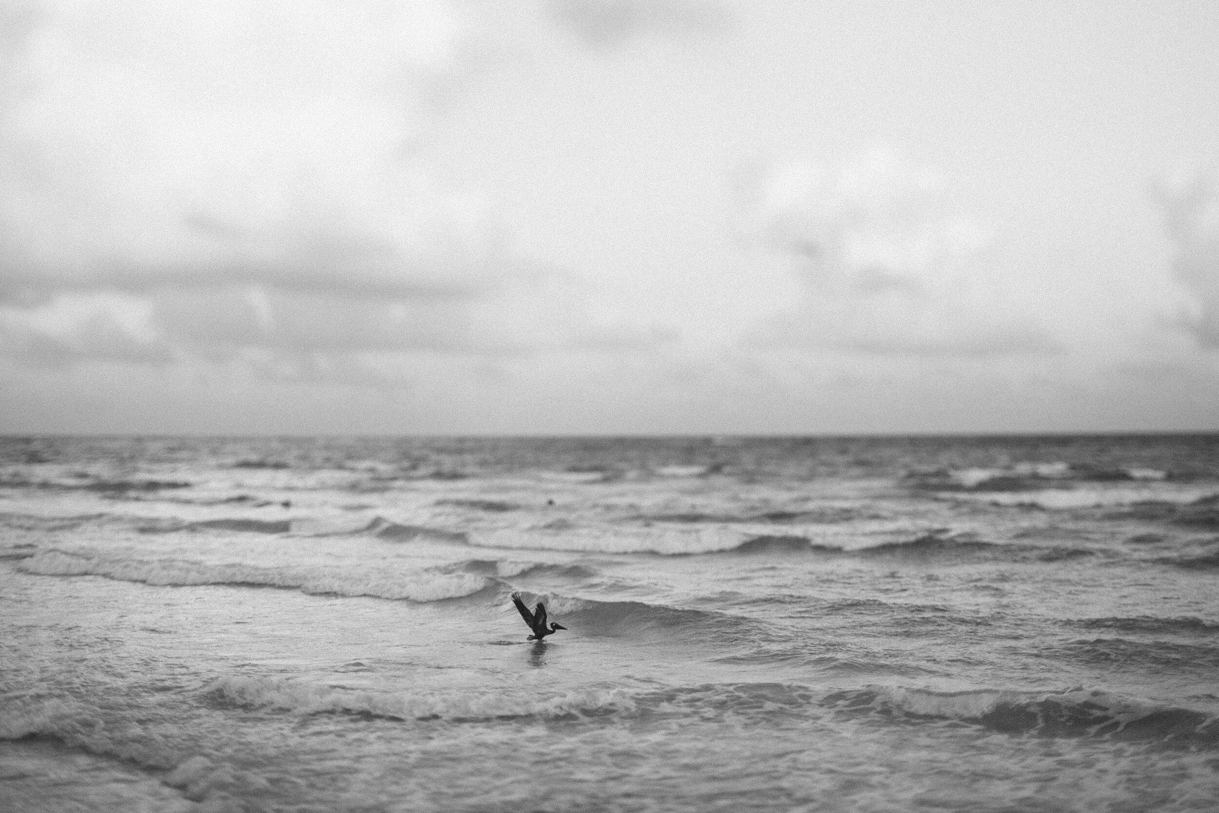 Tulum: Diving Down Below