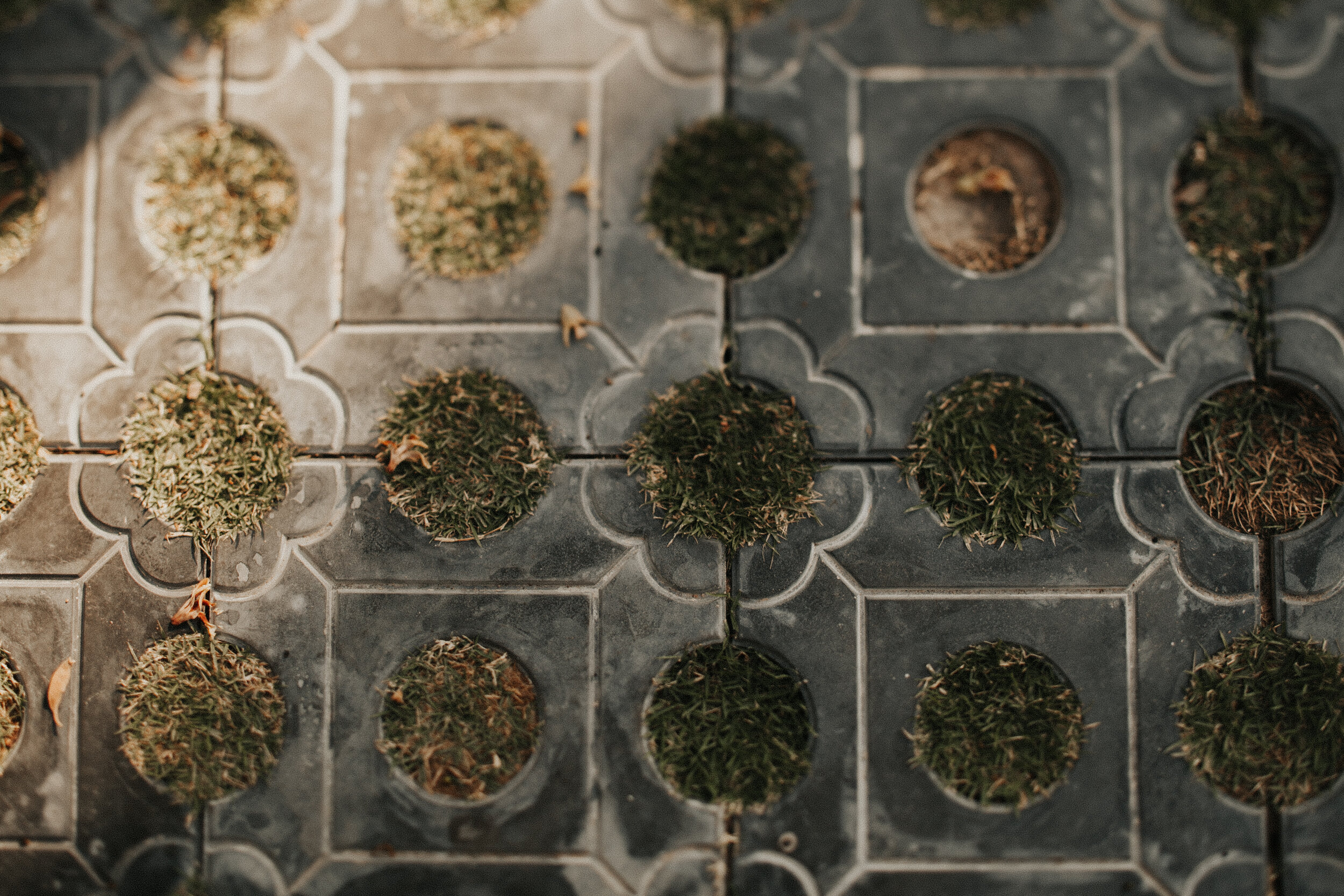 Cambodia:Grassy Tile